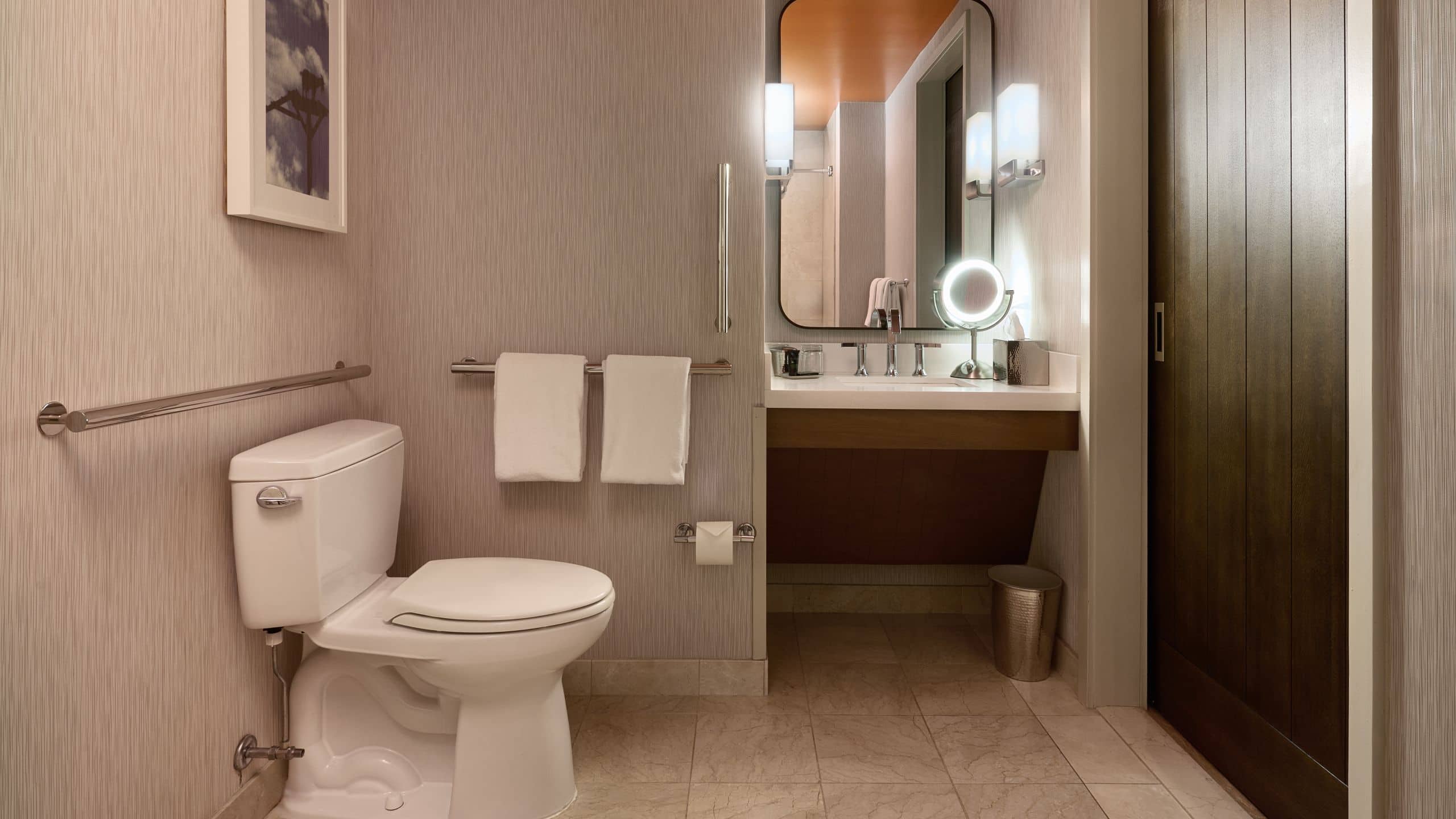 Hyatt Centric Chicago Magnificent Mile Ada Bathroom