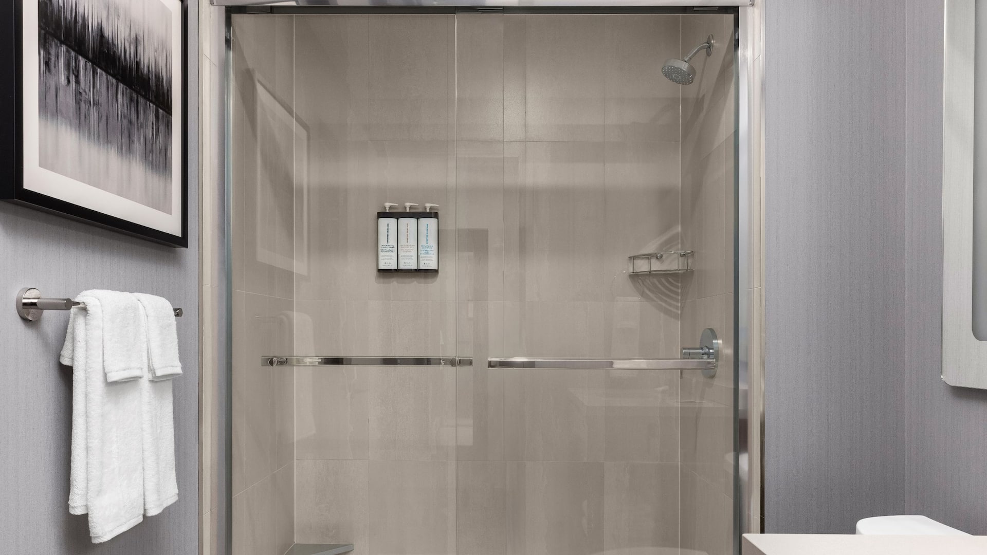 6 of 7 Hyatt Place Mississauga / Airport Corporate Centre Shower