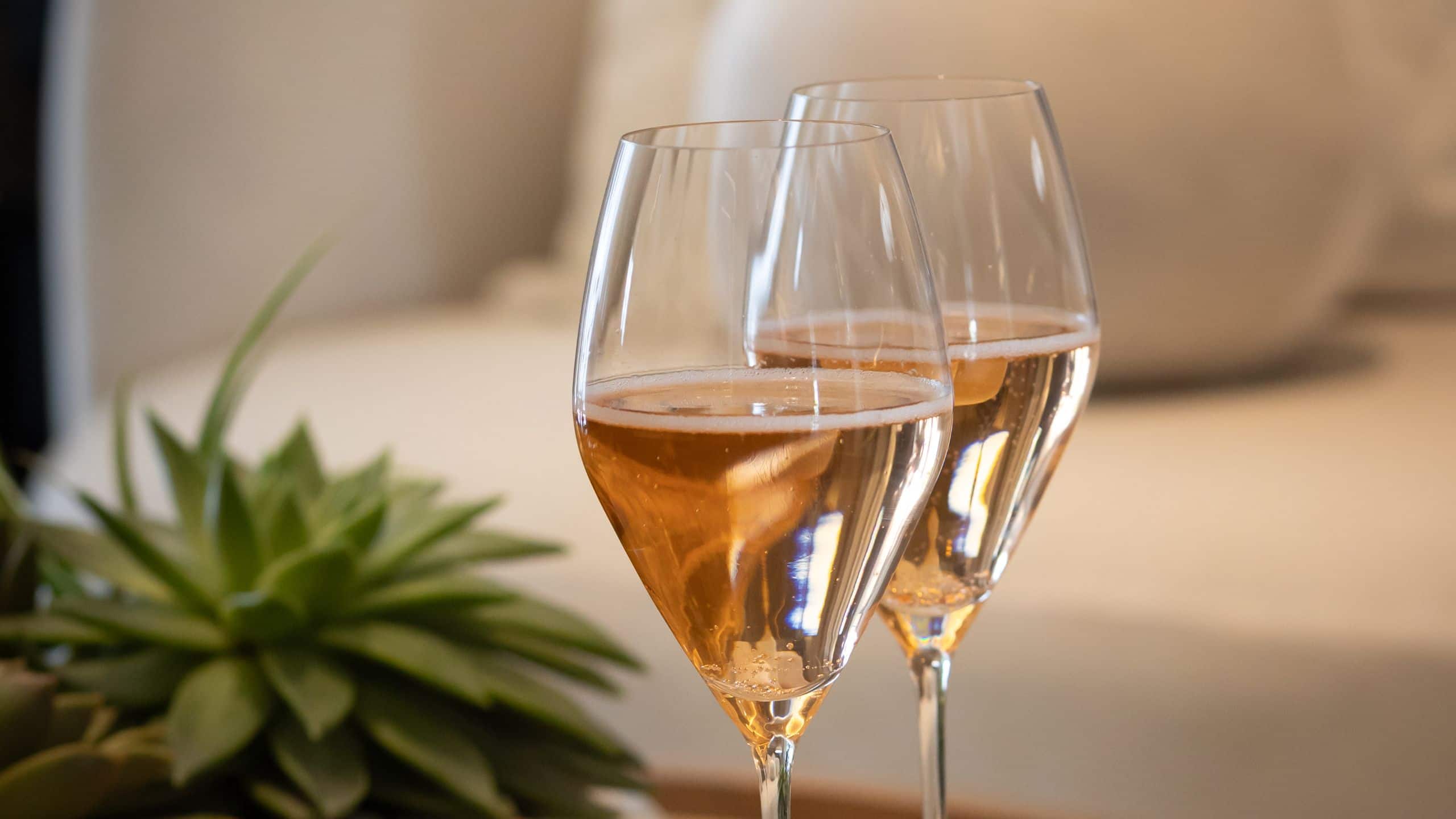 Park Hyatt Johannesburg Two Glasses Of White Wine