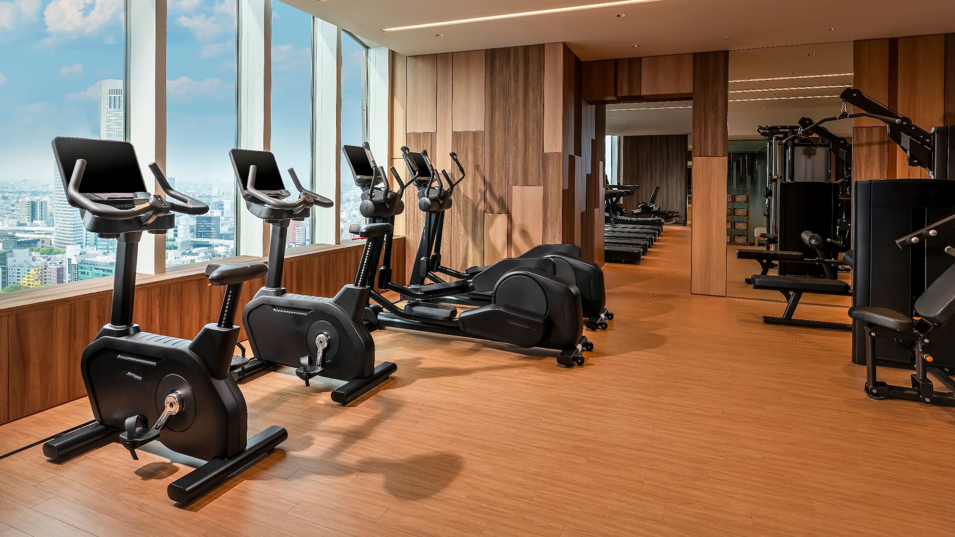 Hyatt Regency Tokyo Fitness Center Exercise Bike