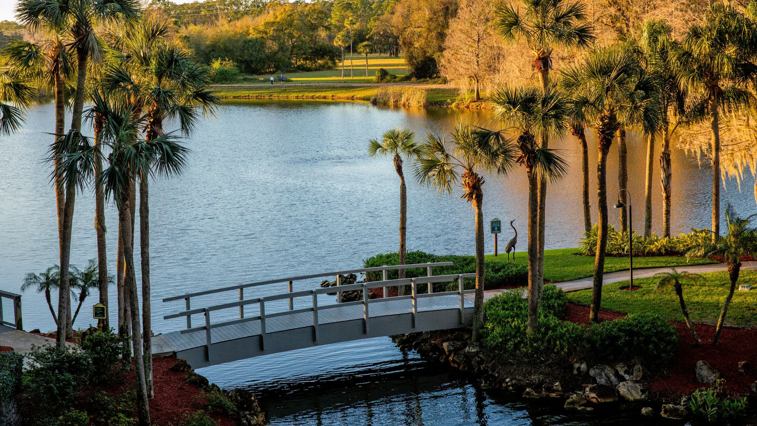 Hyatt Regency Grand Cypress Resort Grand View Terrace Lake View