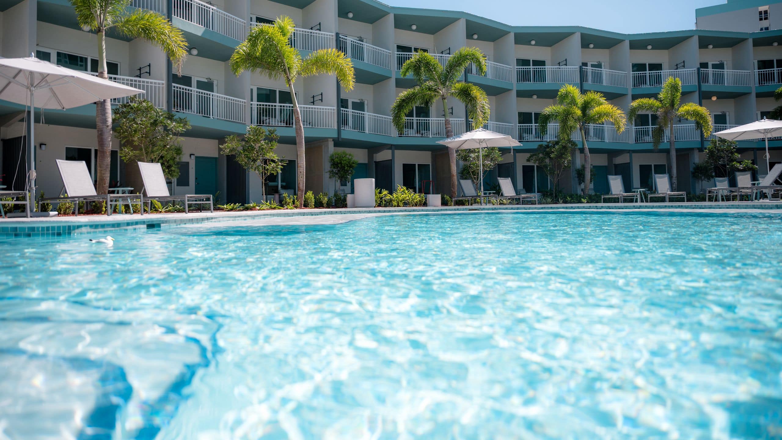Hyatt Centric San Juan Isla Verde Water View Swimming Pool