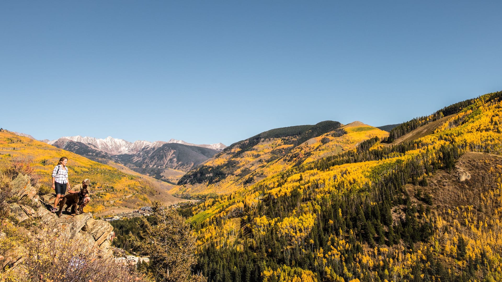 Grand Hyatt Vail Fall Foliage Hike With Dog