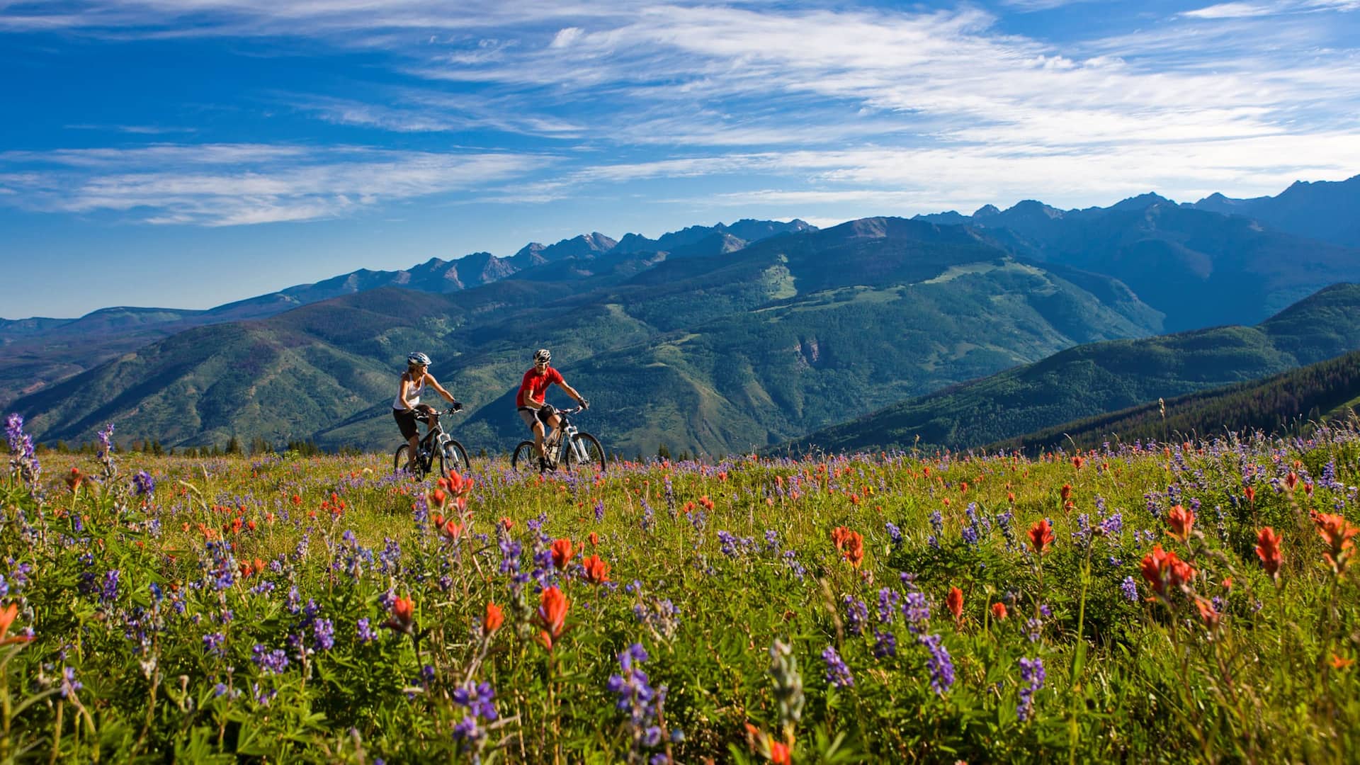 Grand Hyatt Vail Summer Mountain Biking Wildflowers