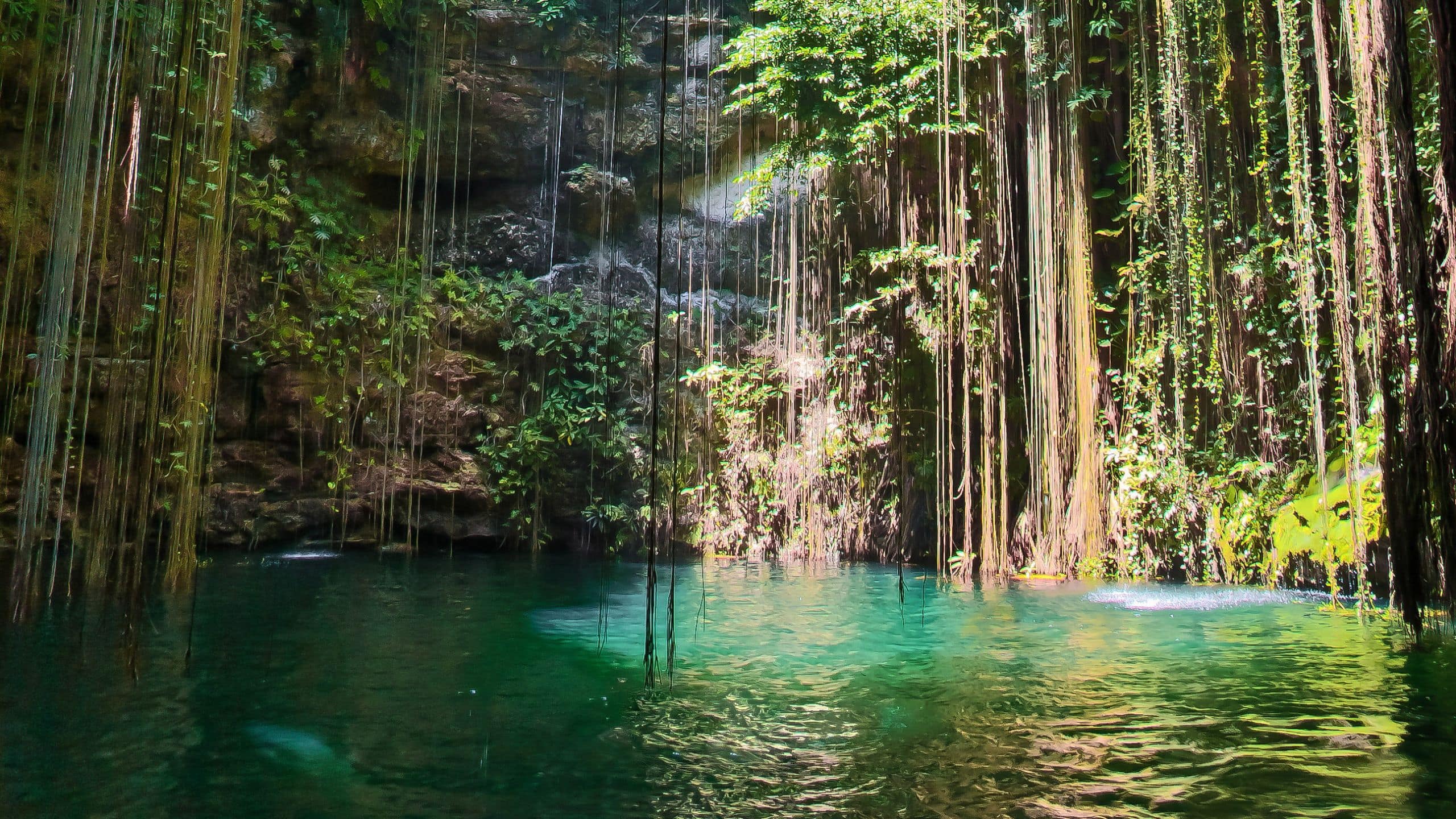 Alila Mayakoba Waterfall