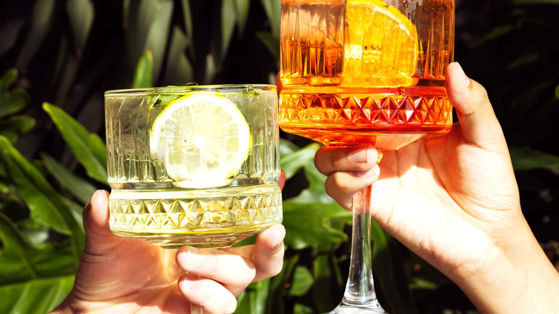 1 de 1 Hyatt Regency San Luis Potosí Toasting Leche De Tigre Cocktail