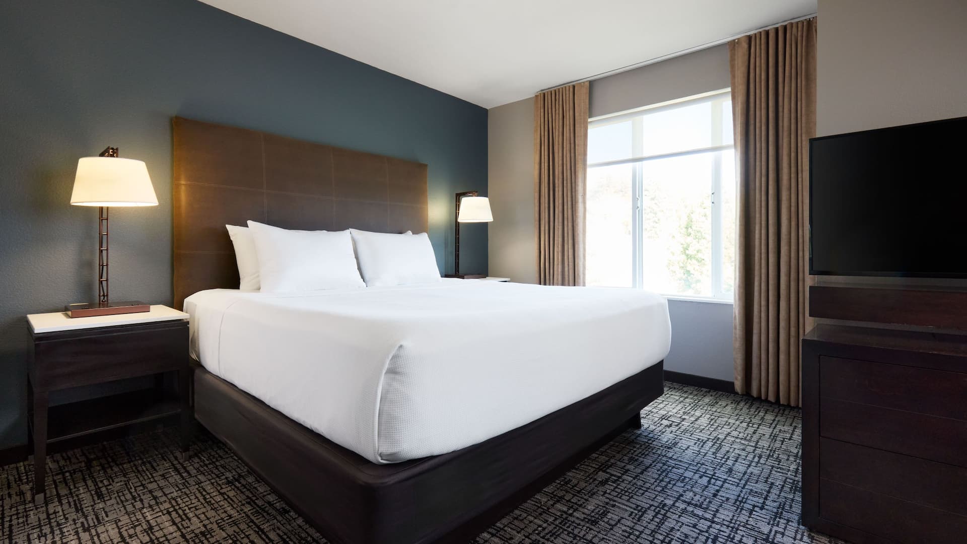 Hyatt House Seattle/Bellevue Studio Sofa Bed Bed