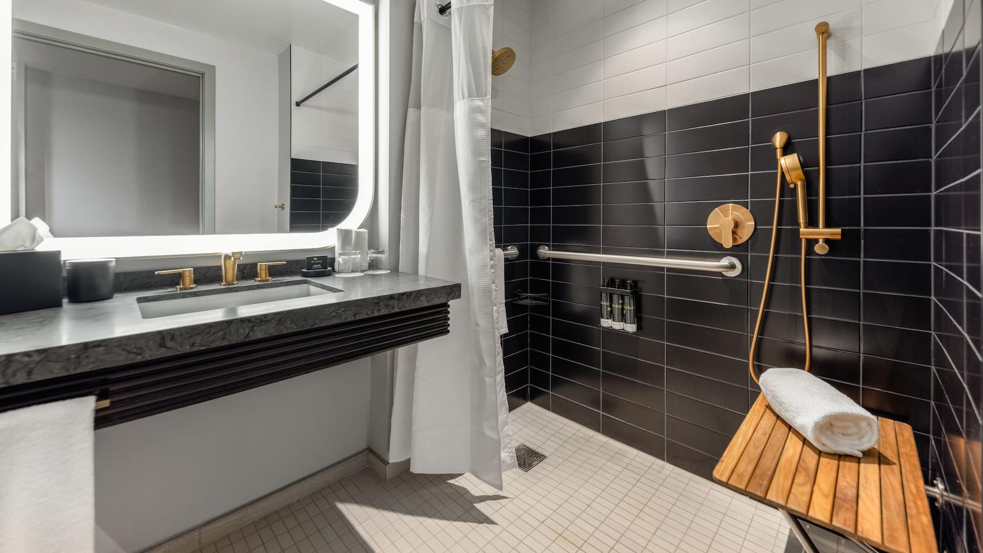 4 of 4 Hyatt Centric Chicago O’Hare Accessible Roll In Shower