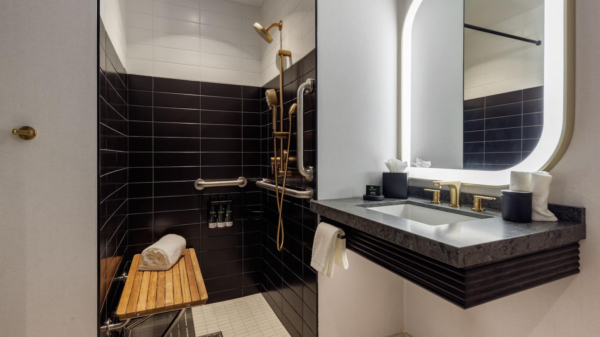 4 of 4 Hyatt Centric Chicago O’Hare Accessible Roll In Shower And Vanity