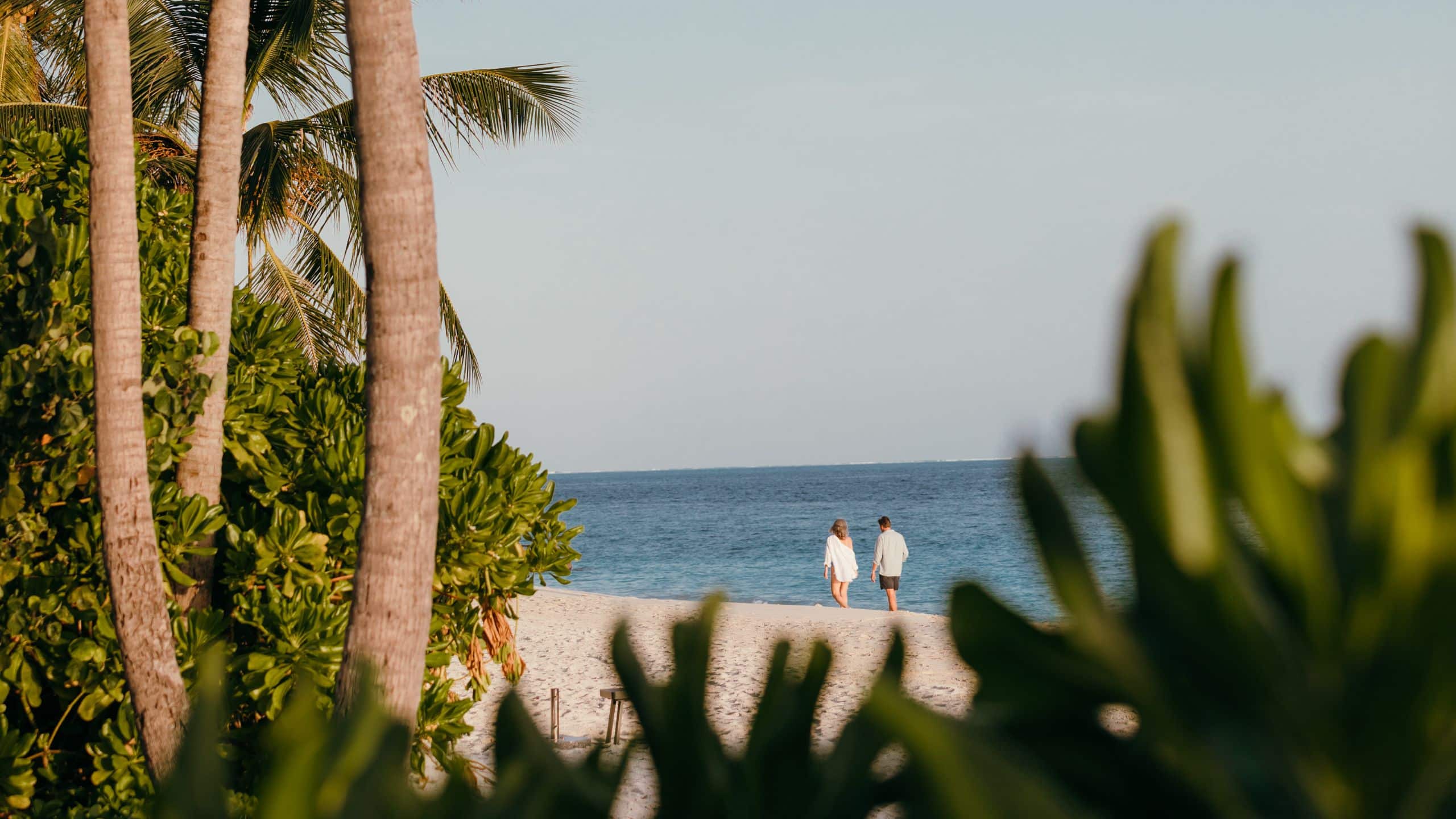 Alila Couple Walking Beach Palm Tree