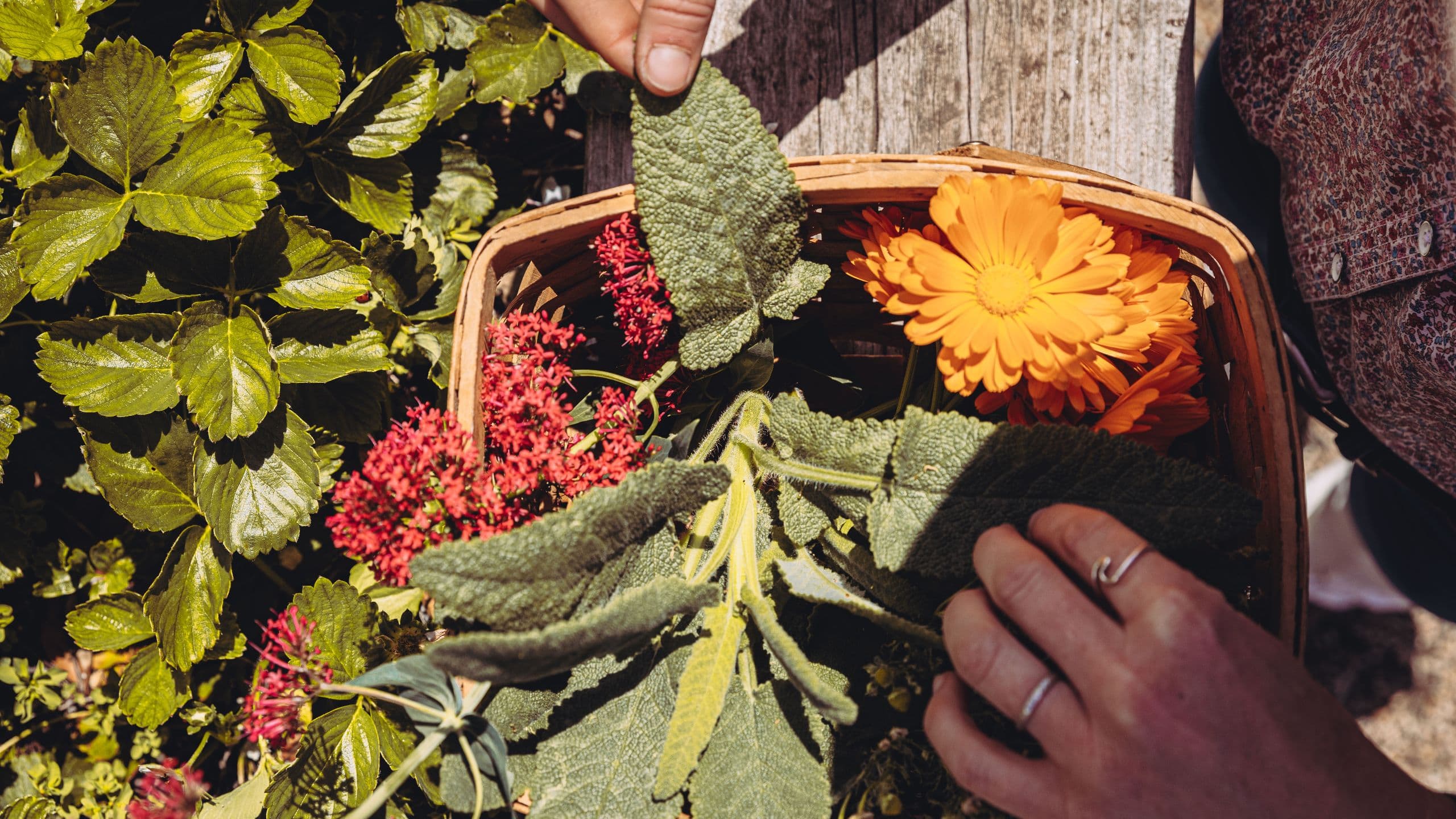 Alila Hands Flower Garden Basket