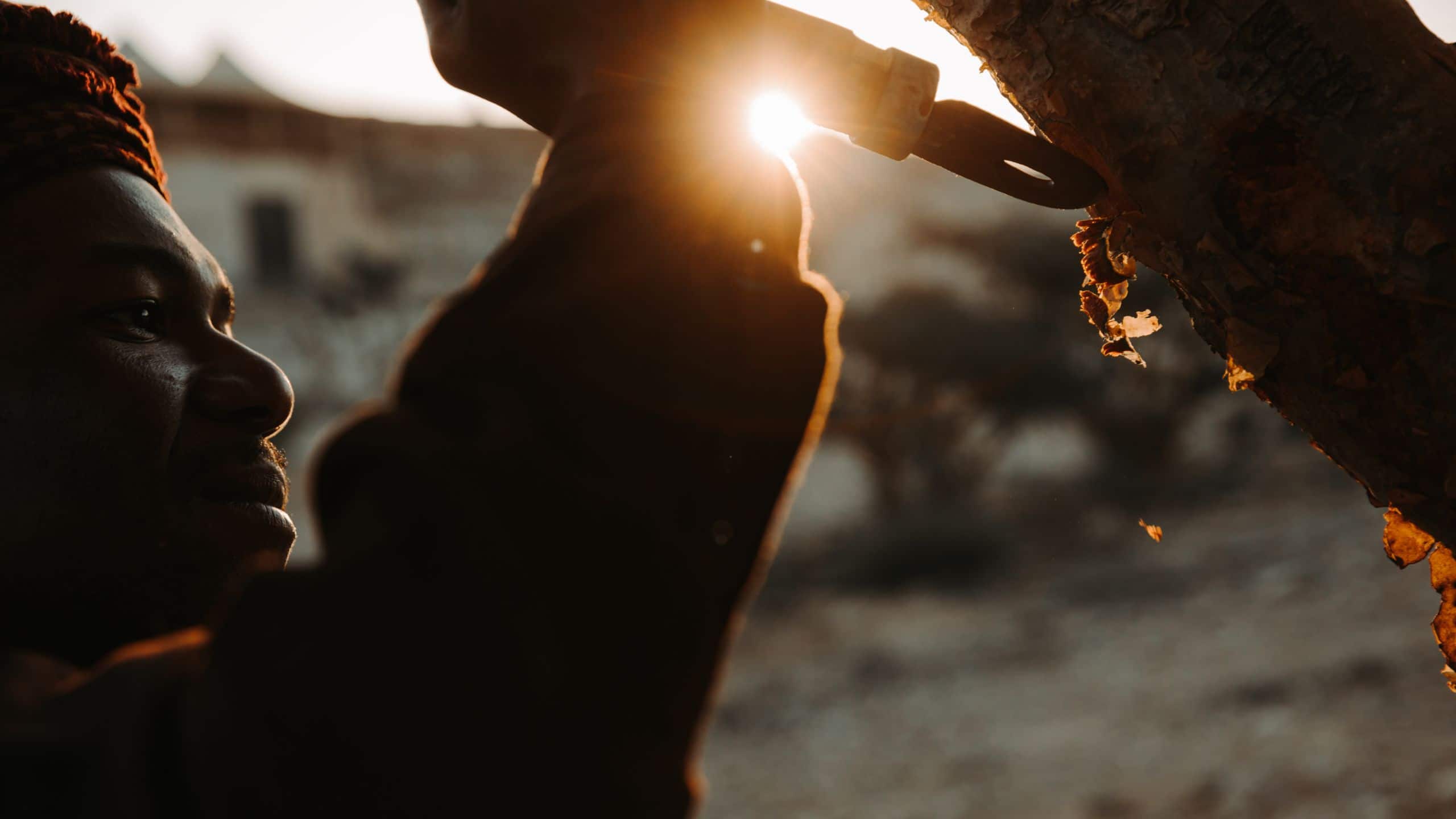 Alila Man Frankincense Harvesting Detail