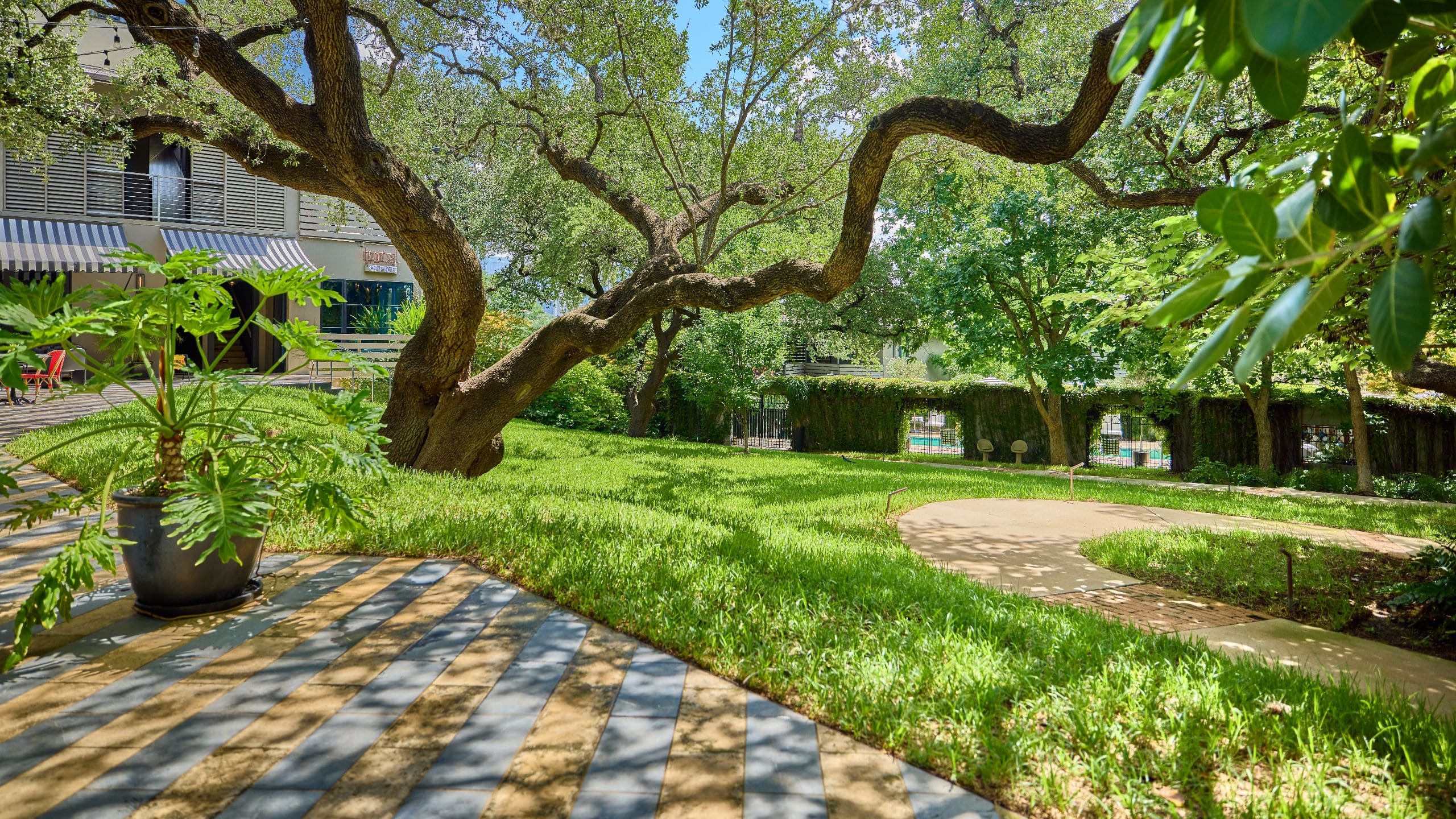 Hotel Saint Cecilia, Bunkhouse Hotels Lawn Wide