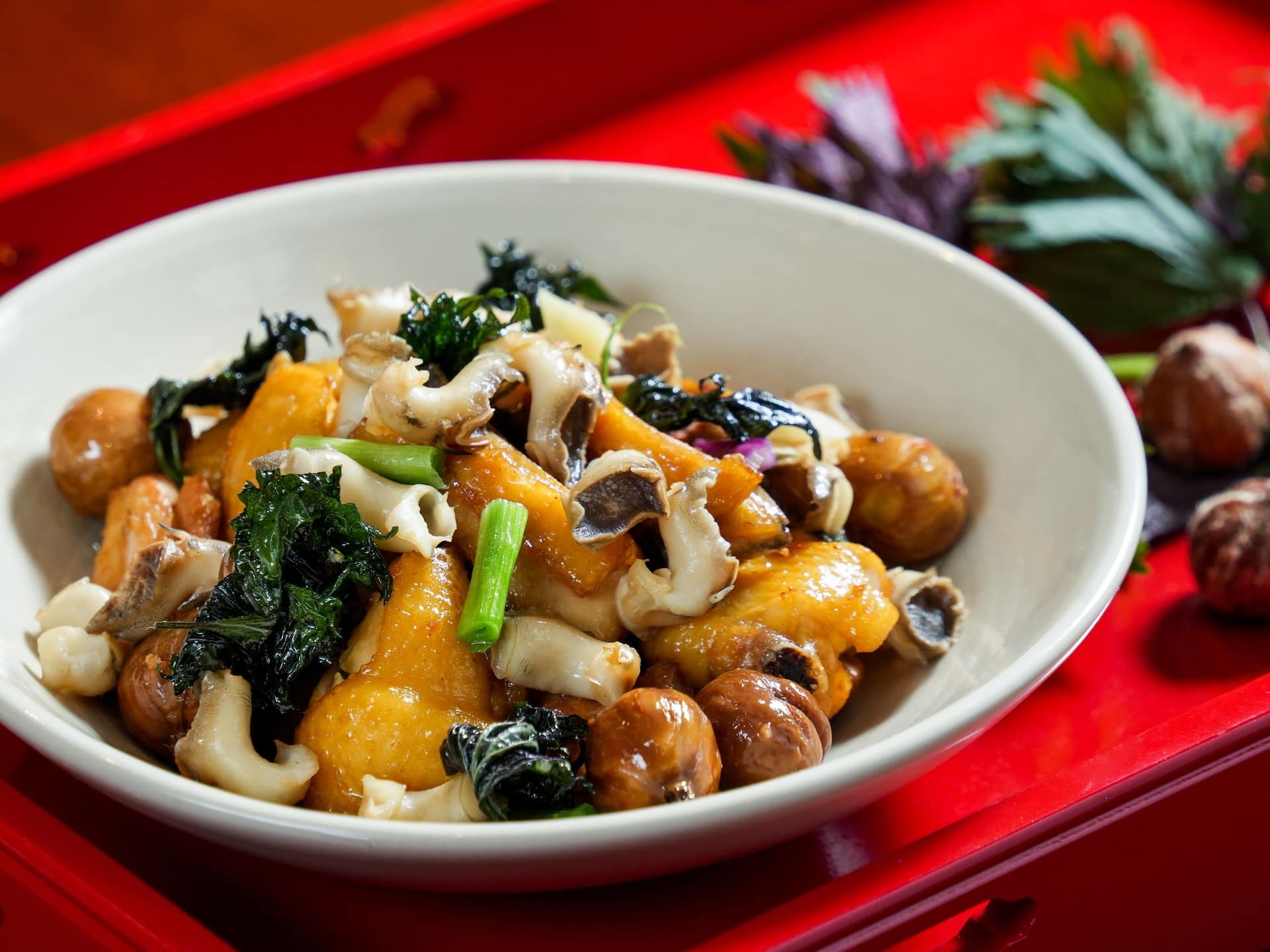 Hyatt Regency Hong Kong, Sha Tin Braised Chicken Sea Snail Chestnut Chinese Basil