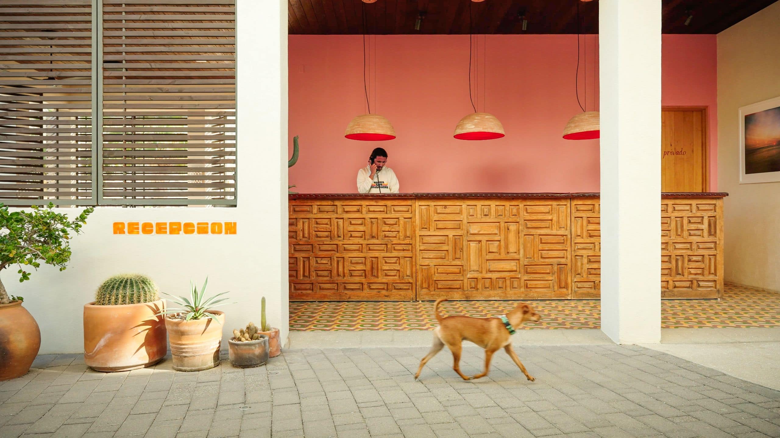Hotel San Cristóbal, Bunkhouse Hotels Checkin Dog