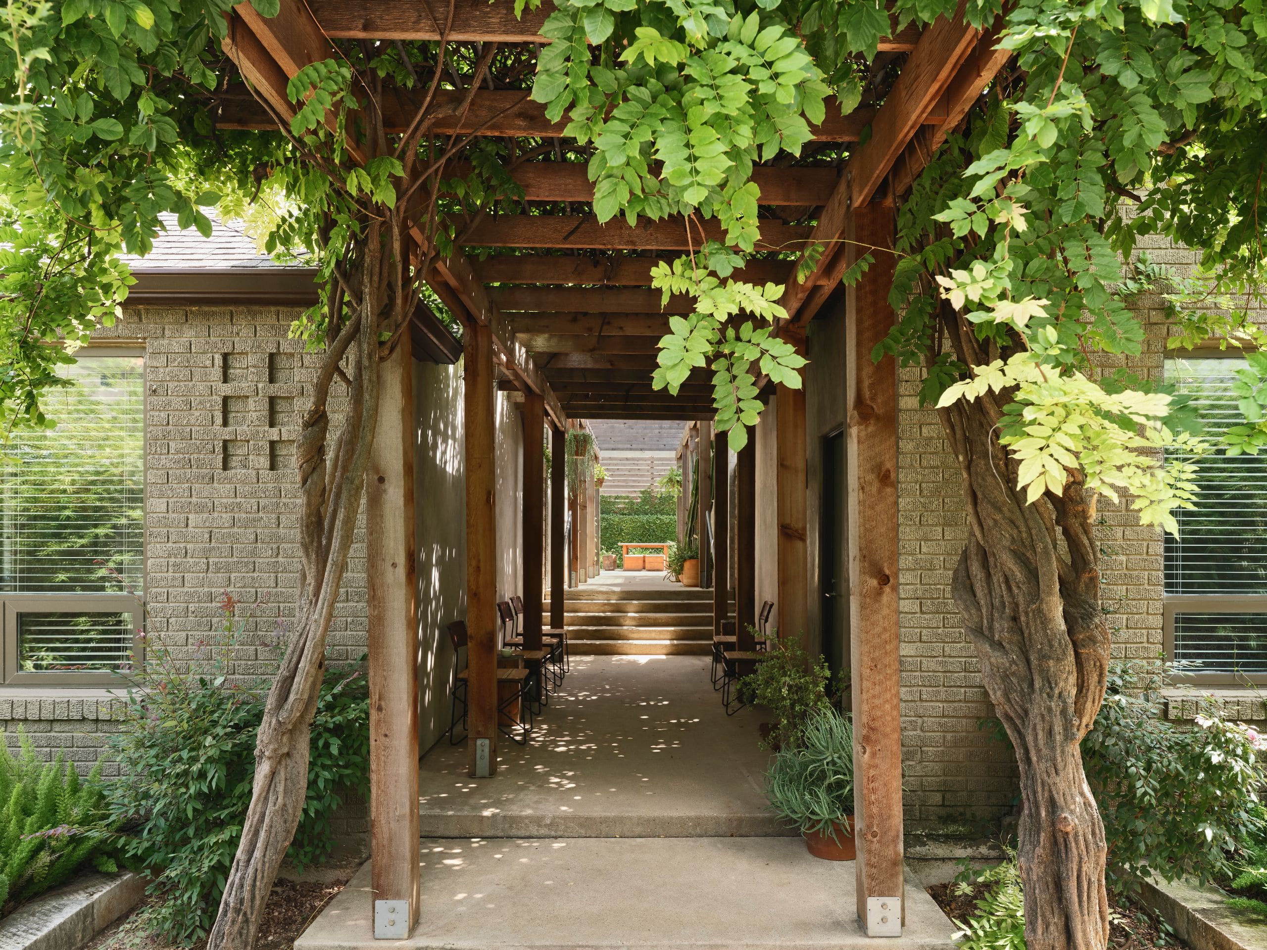 Hotel San José, Bunkhouse Hotels Breezeway Path View