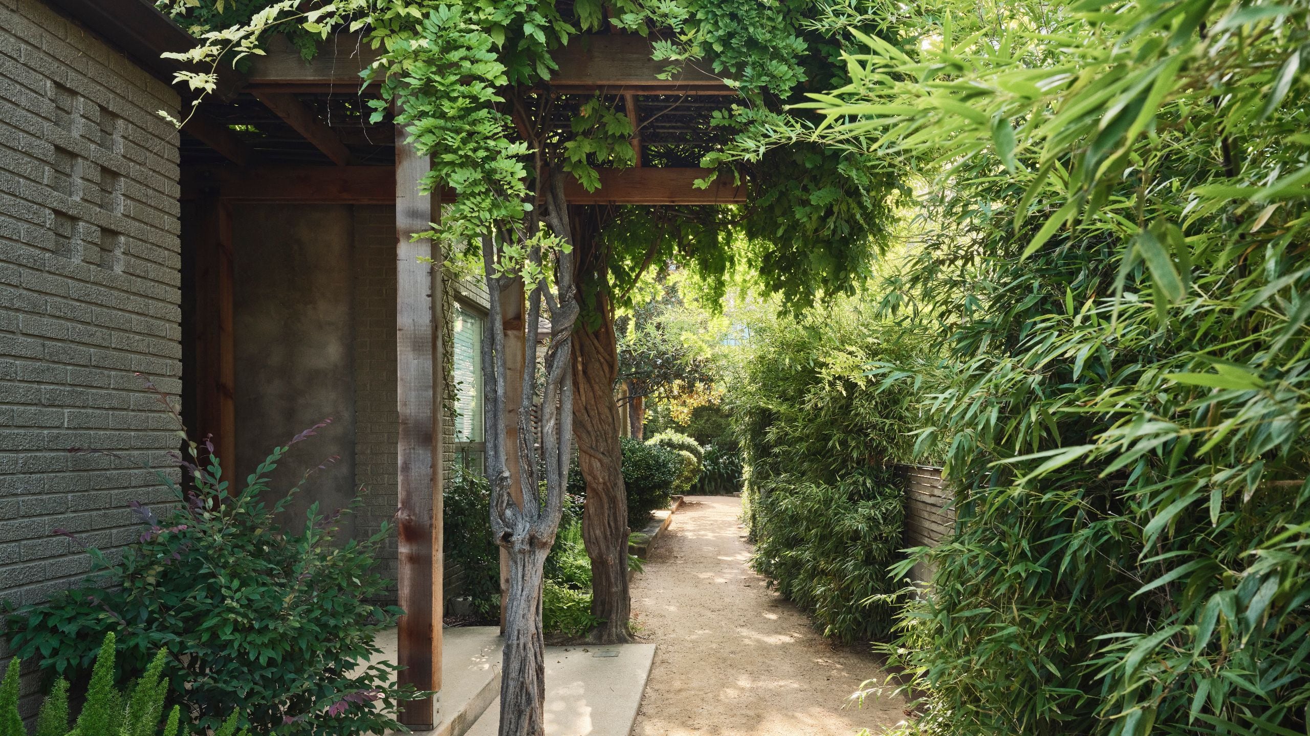 Hotel San José, Bunkhouse Hotels Breezeway Path