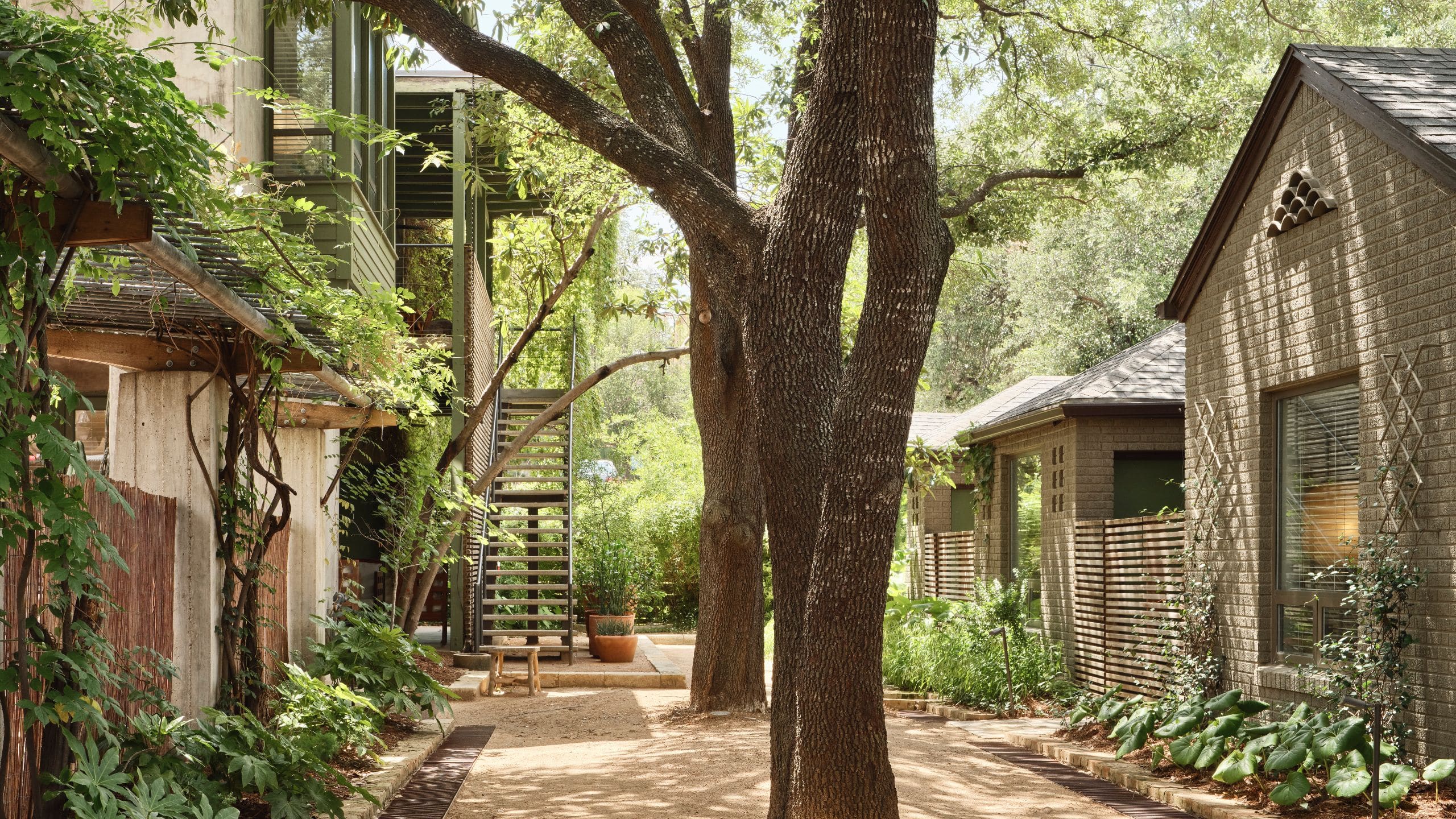Hotel San José, Bunkhouse Hotels Entrance Path