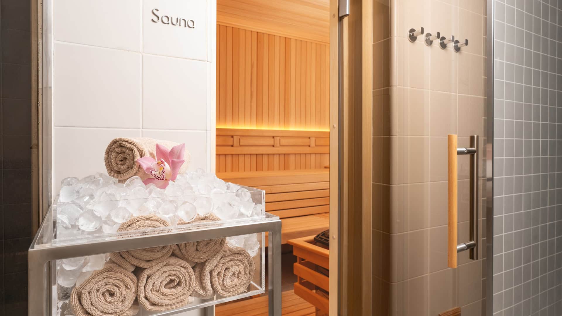 Hyatt Regency Belgrade Club Olympus Sauna Ice