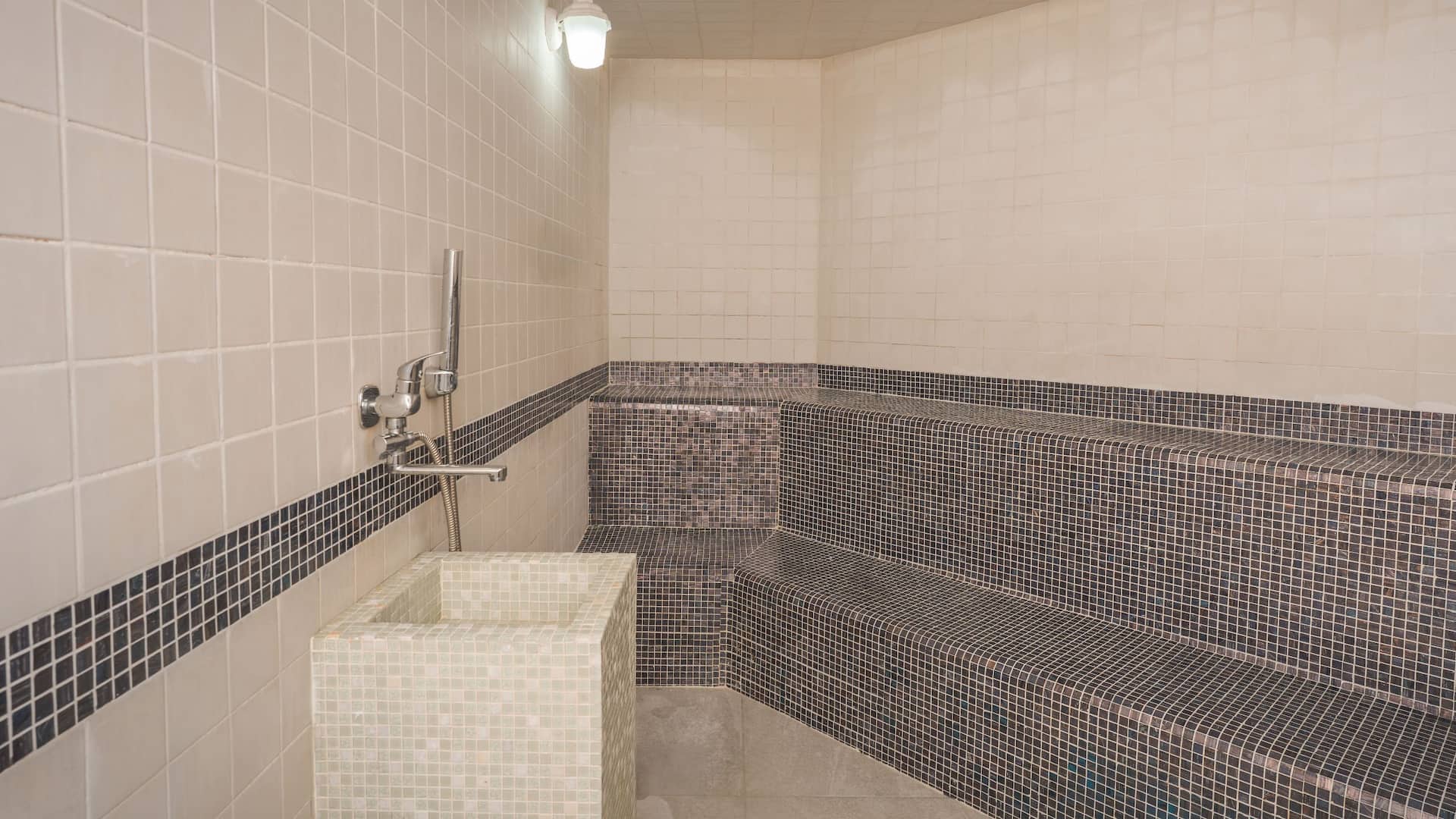 Hyatt Regency Belgrade Club Olympus Steam Room