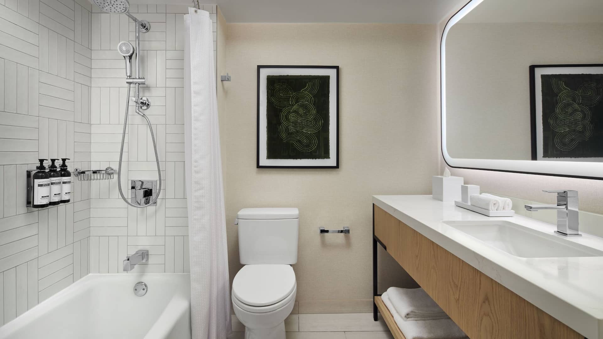 Hyatt Regency Washington on Capitol Hill Bathroom Shower Tub