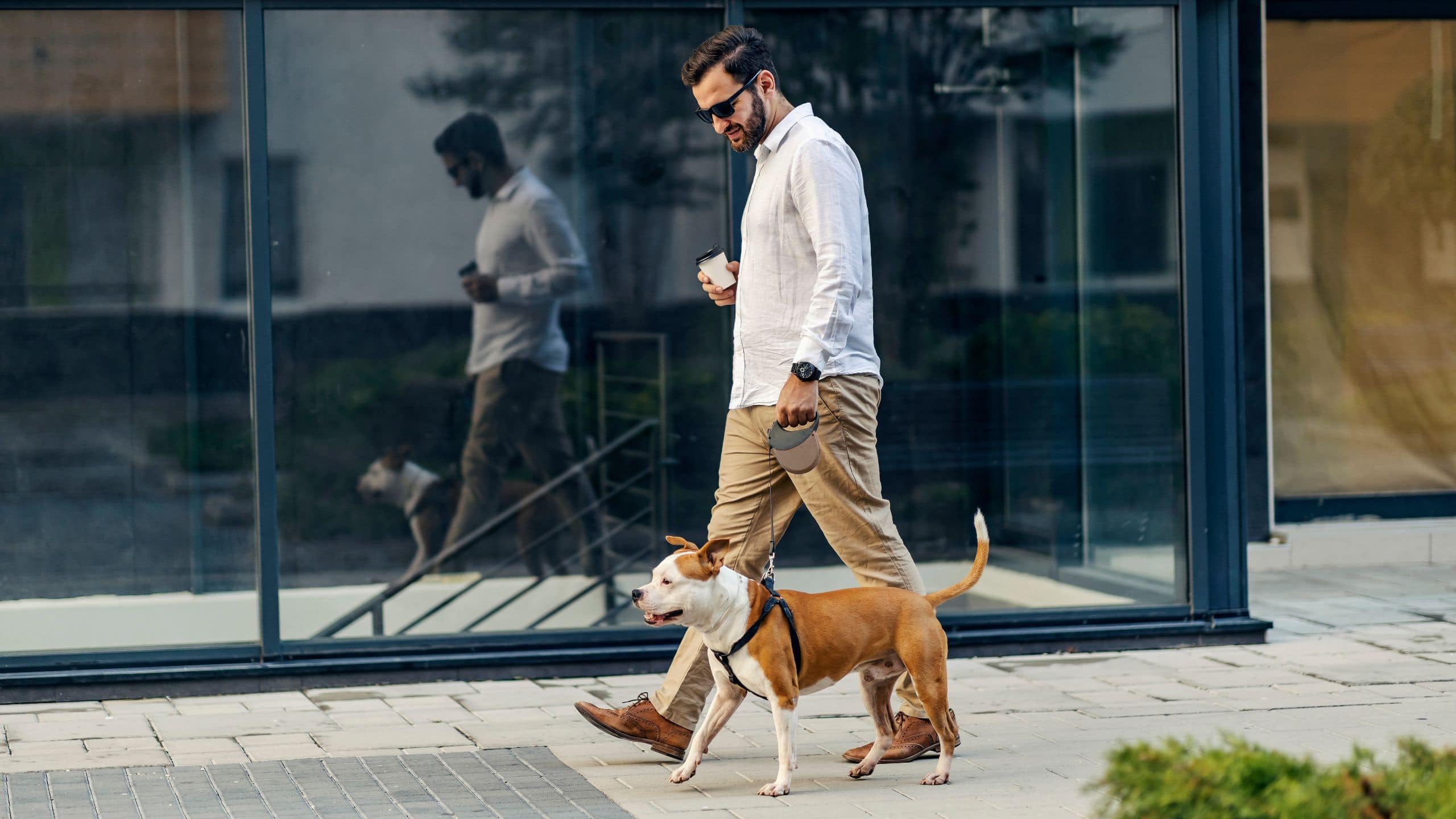 Man Walking Dog With Coffee