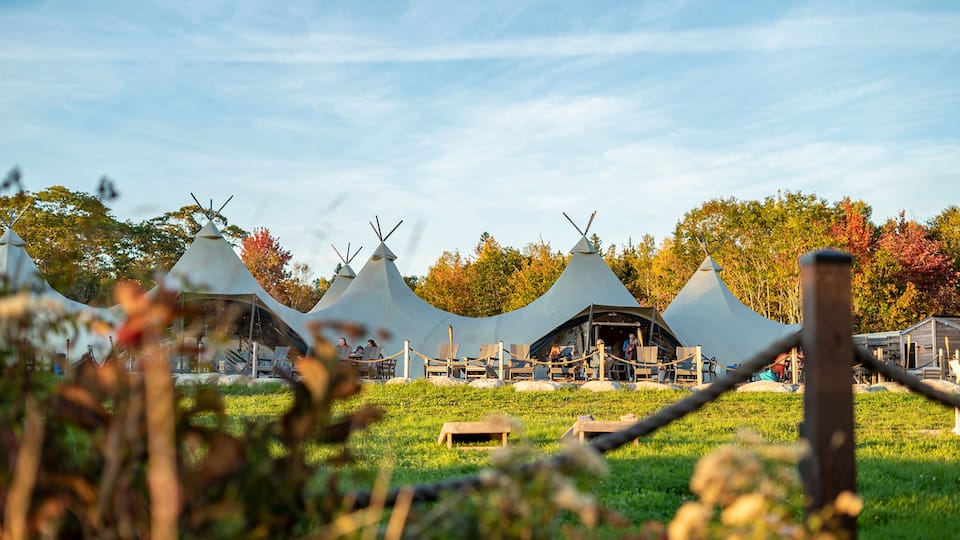 Under Canvas