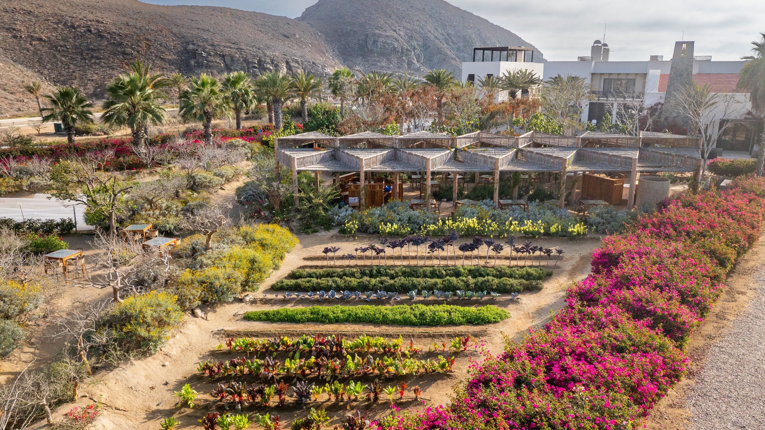 Hotel San Cristóbal, Bunkhouse Hotels Cosecha Garden Drone
