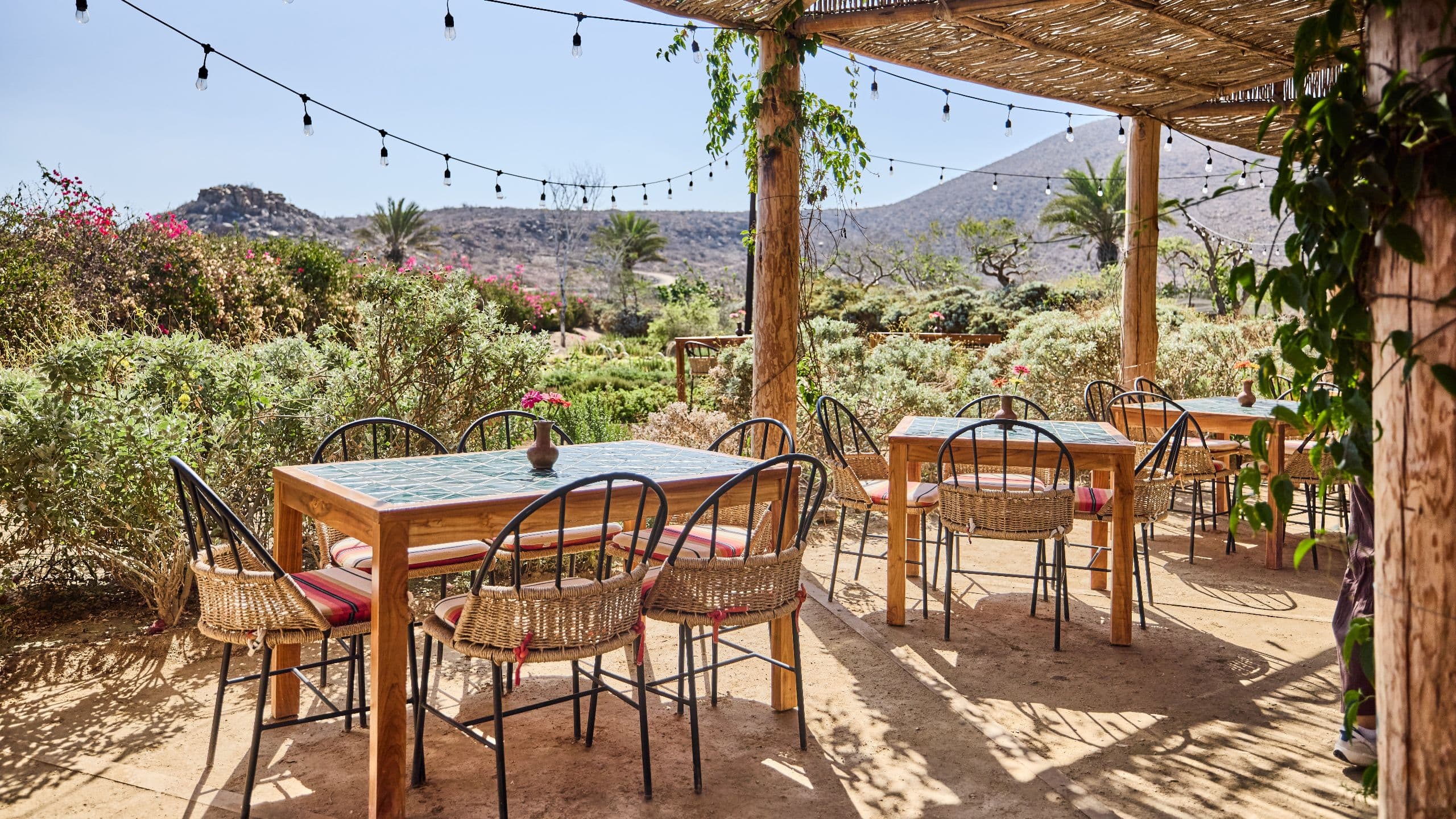Hotel San Cristóbal, Bunkhouse Hotels Cosecha Garden