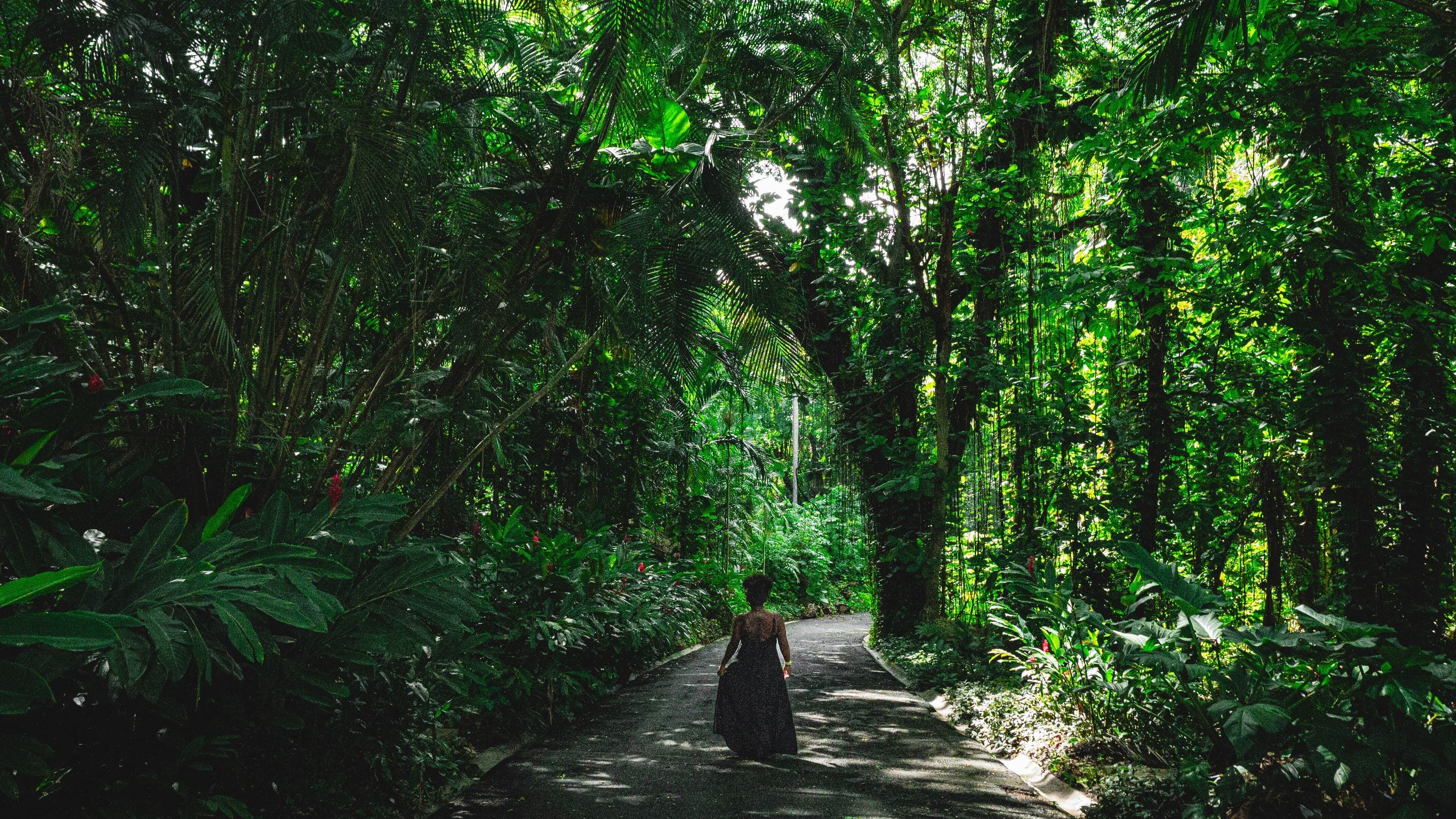 Hyatt Centric Forest Park Walk