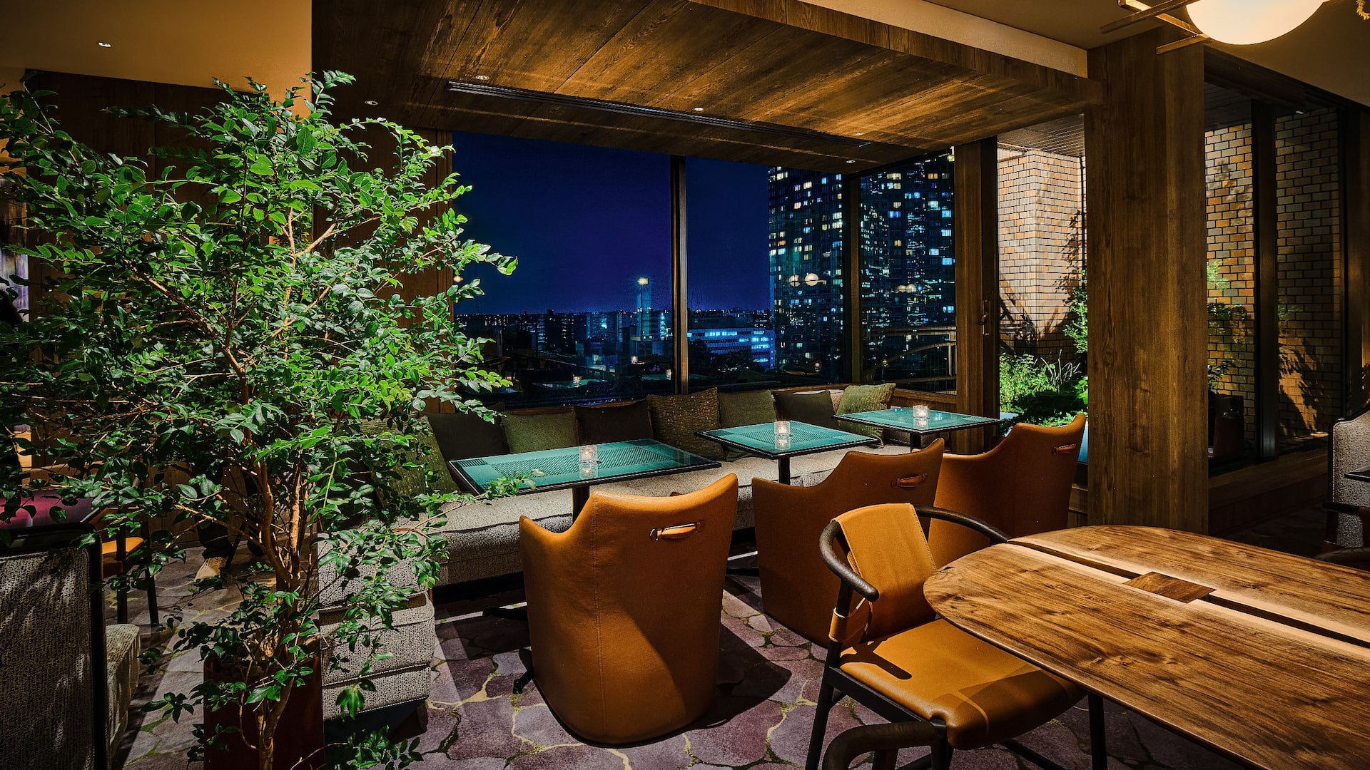 Hyatt Regency Tokyo Regency Club Lounge Night