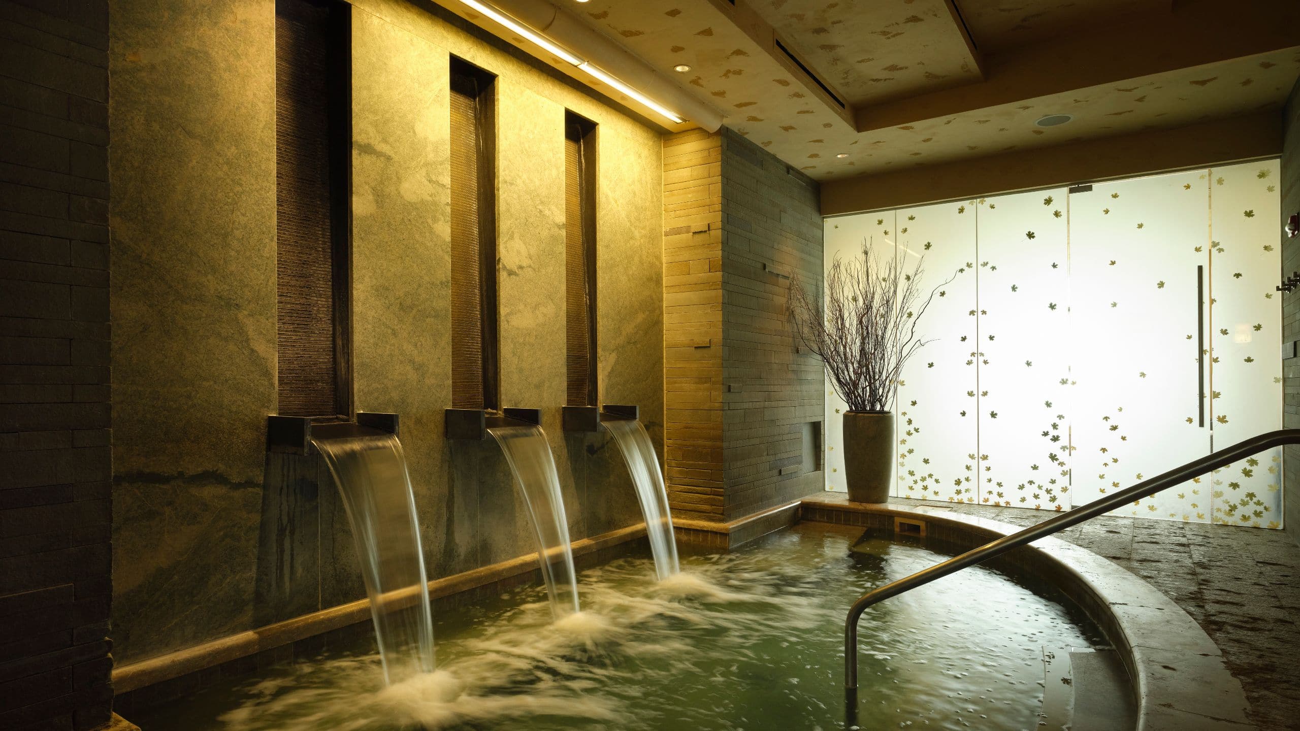 The Residences at Park Hyatt Beaver Creek Spa Waterfall