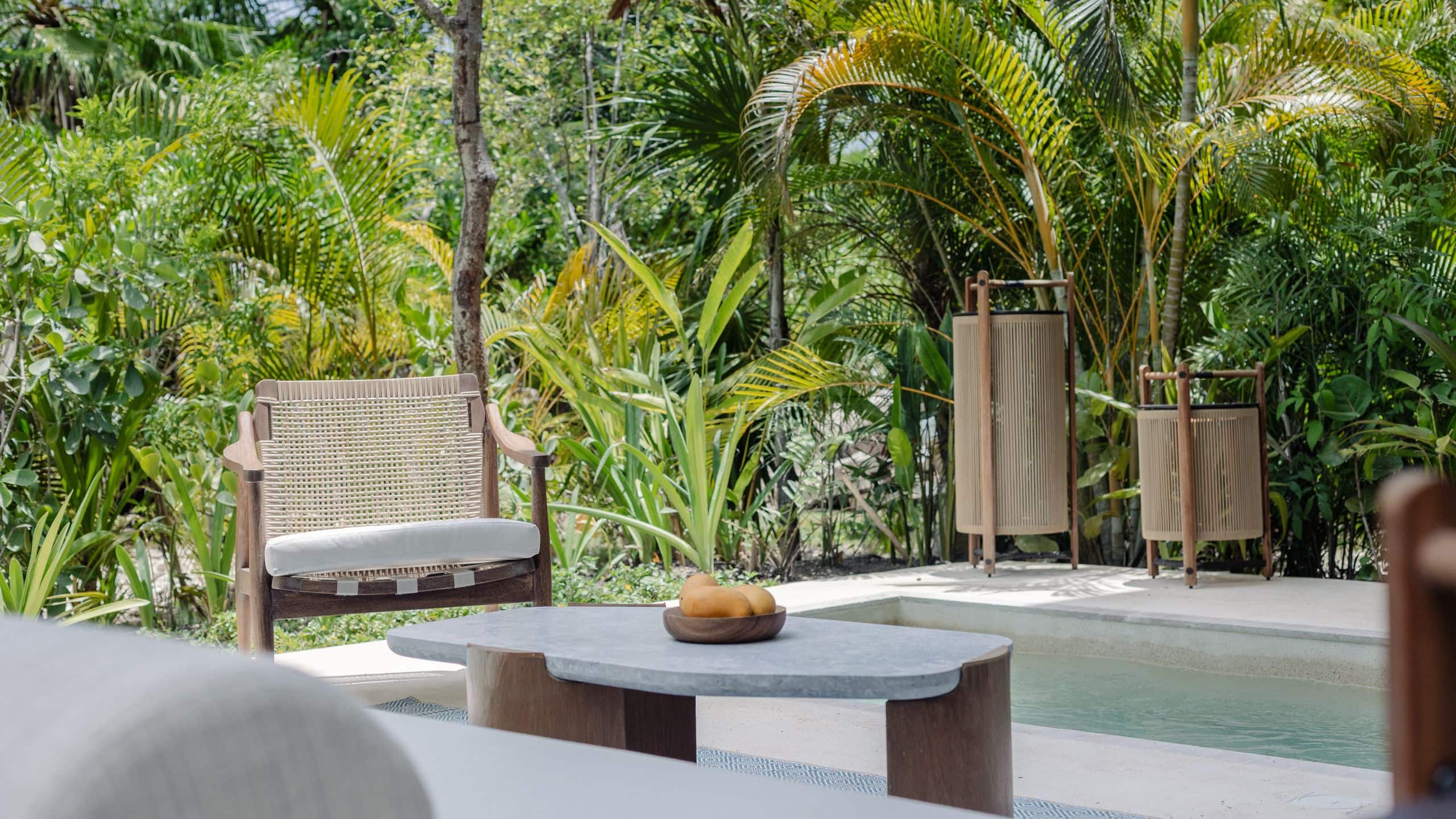 Alila Mayakoba Plunge Pool Furnished Patio And Foliage