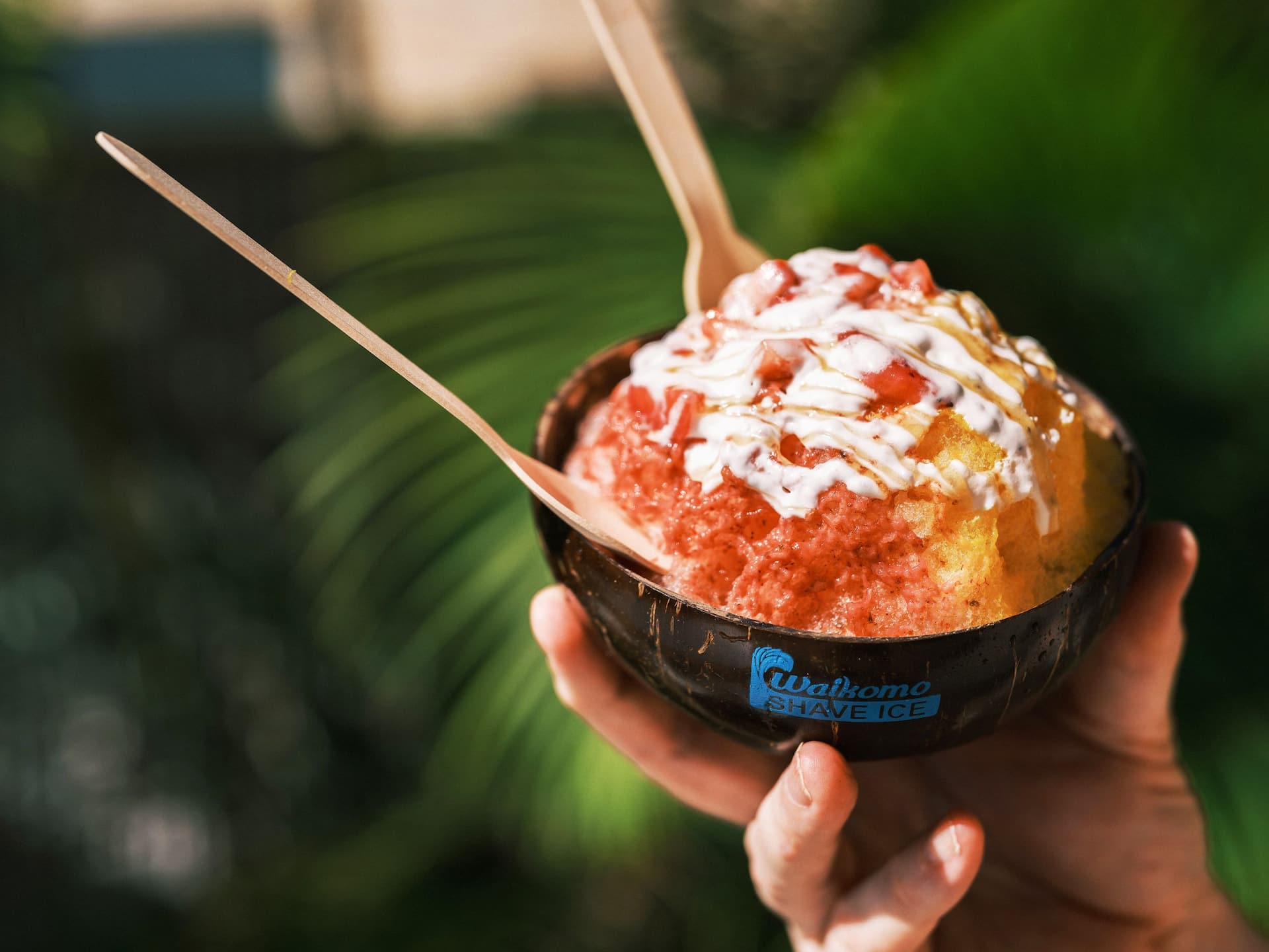 Hyatt Regency Maui Resort and Spa Waikomo Shave Ice