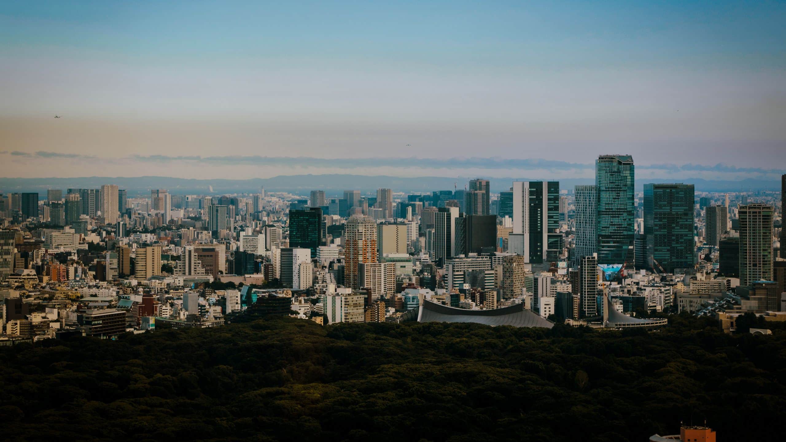 3/3 Park Hyatt Tokyo Tokyo City View