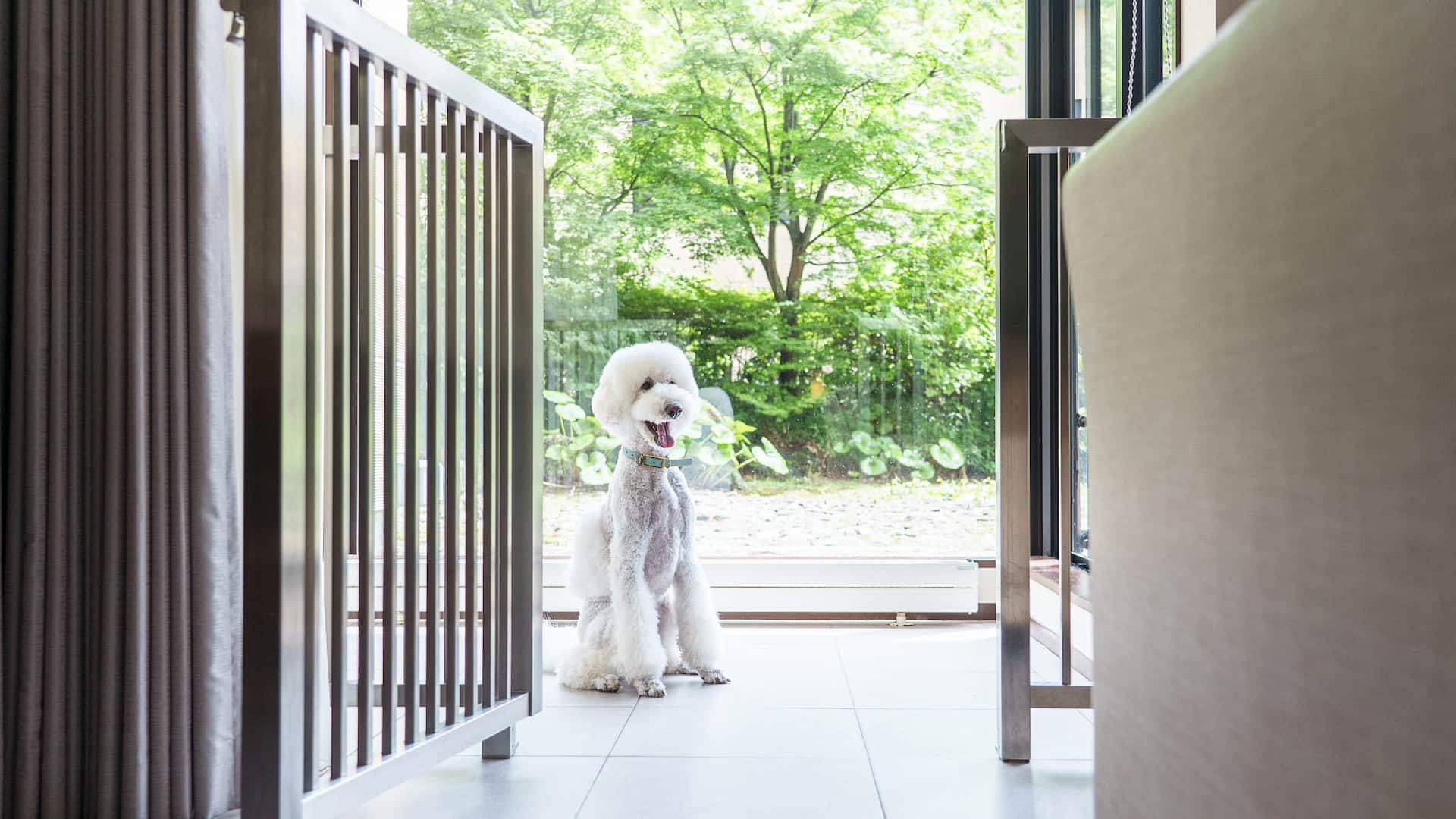 5 из 9 Hyatt Regency Hakone Resort and Spa Twin Beds Dog Friendly Deluxe Dog Cage