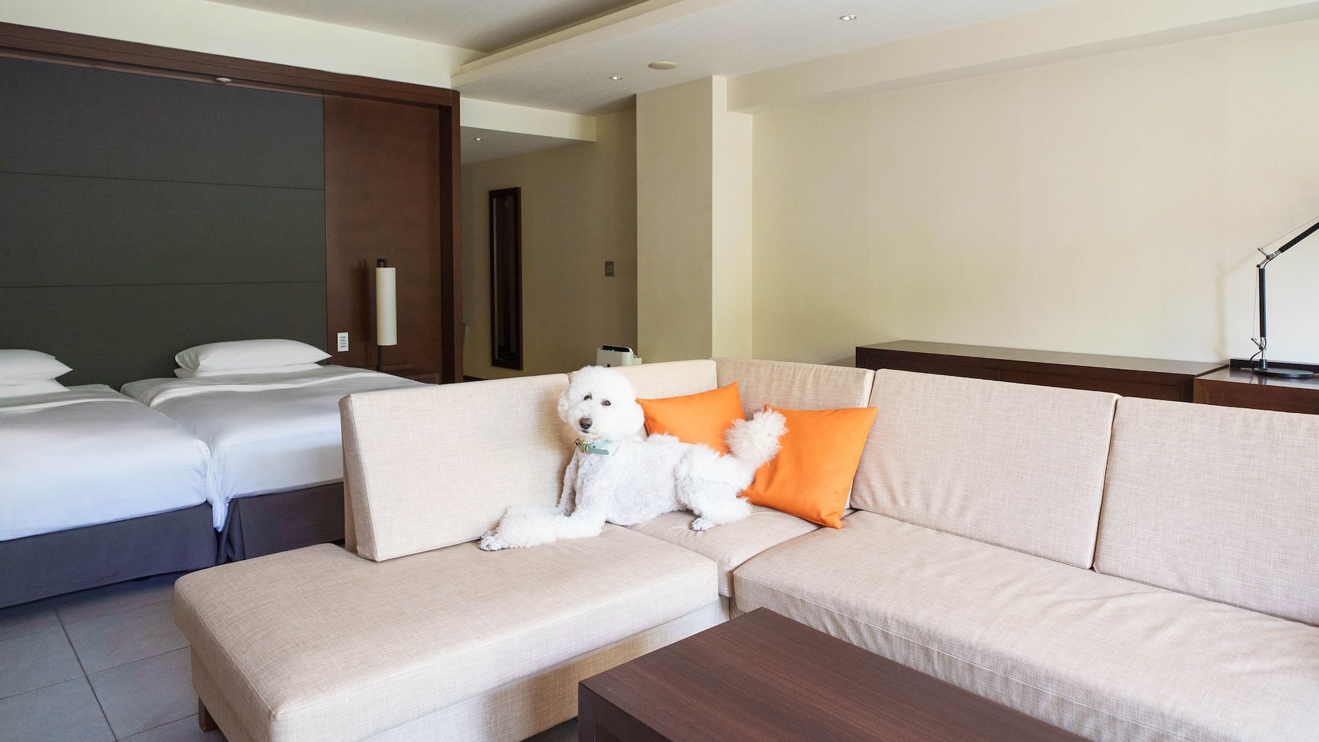 1 из 9 Hyatt Regency Hakone Resort and Spa Twin Beds Dog Friendly Deluxe Dog Sofa