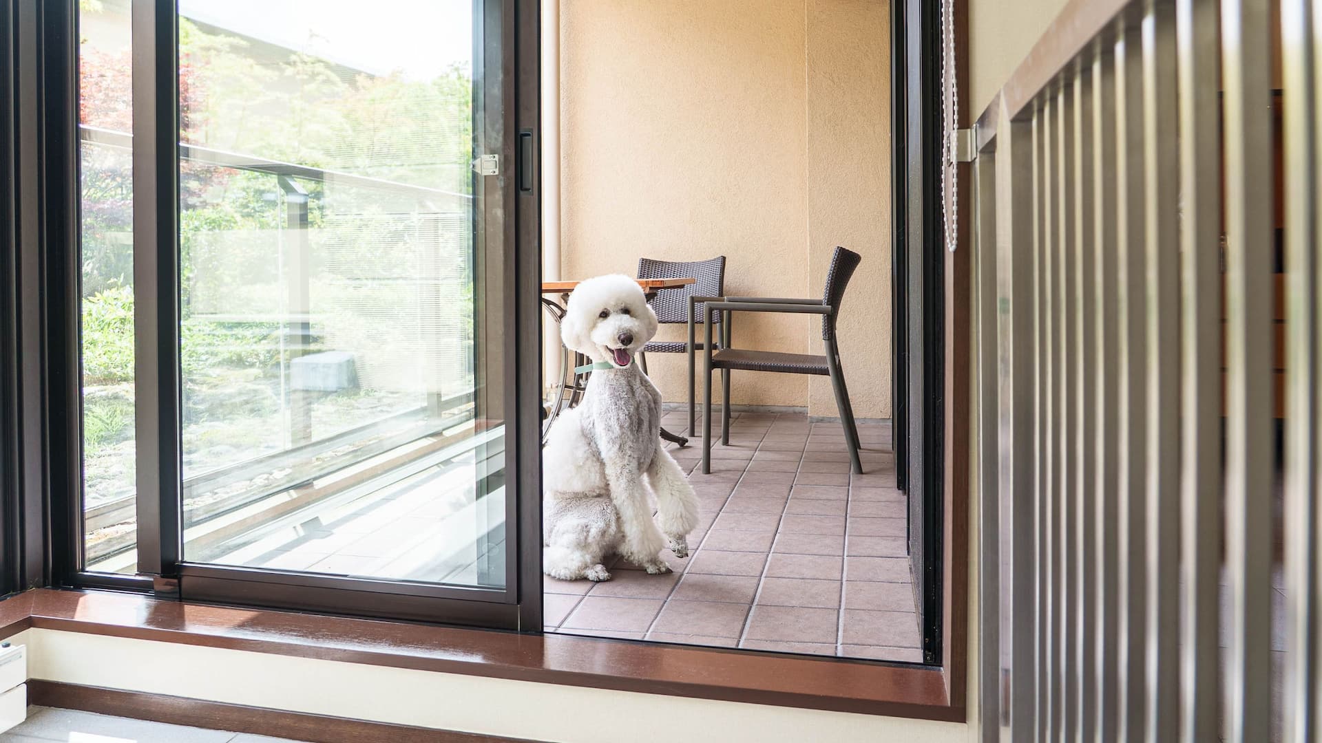 4 из 9 Hyatt Regency Hakone Resort and Spa Twin Beds Dog Friendly Deluxe Terrace Dog