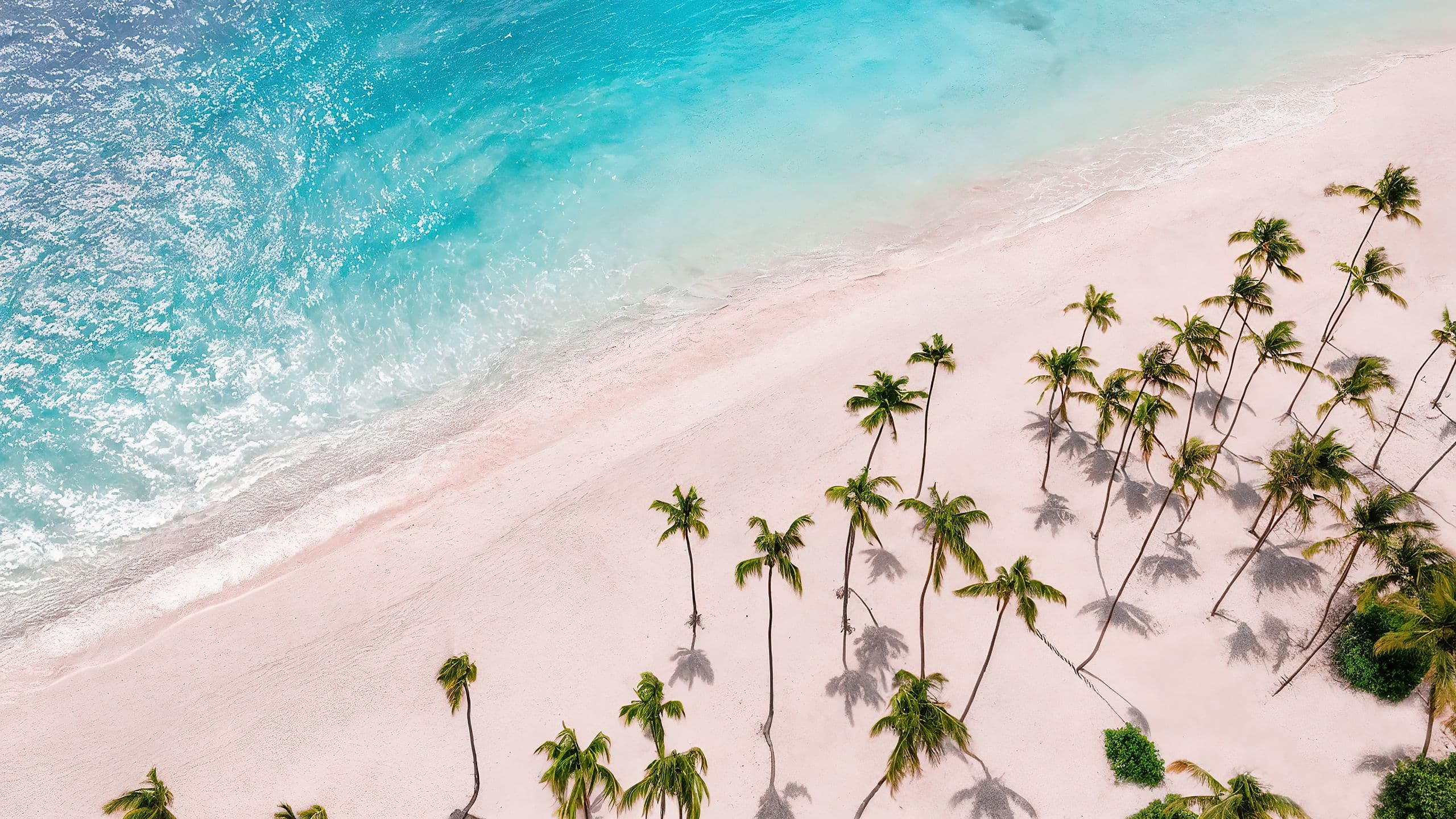 Hyatt Vivid Punta Cana Aerial View Of Beach