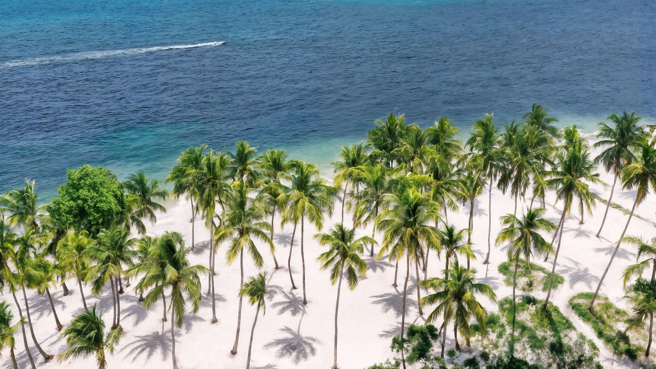 Hyatt Vivid Punta Cana Aerial View Of Beach And Ocean