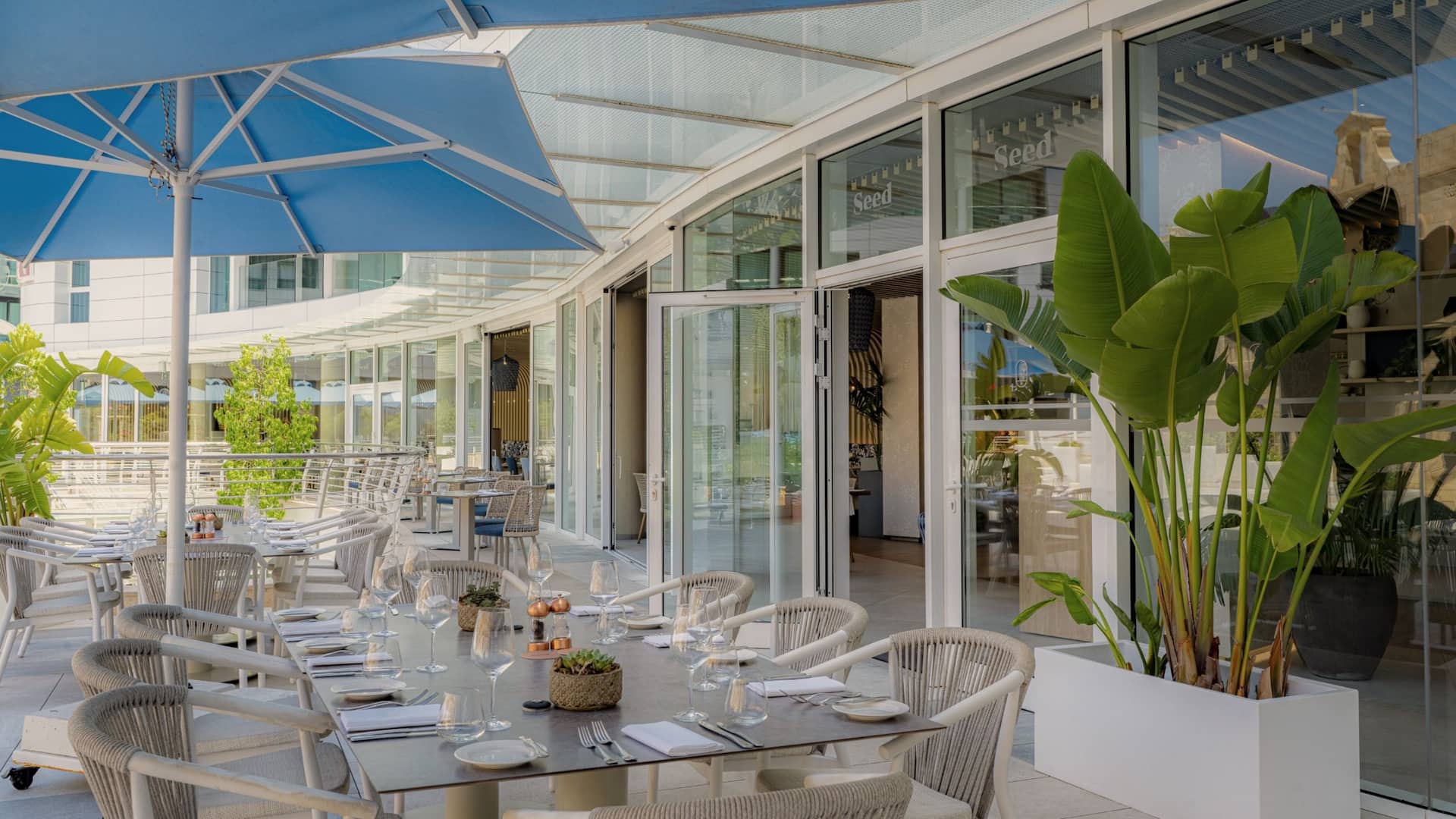 2 of 4 Hyatt Regency Malta Seed Pjazza