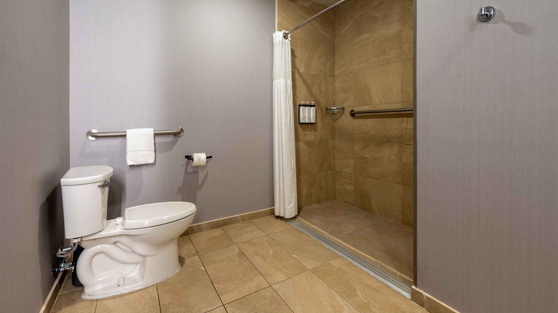 4 of 4 Hyatt Place Saltillo Accessible Suite King Bed Restroom