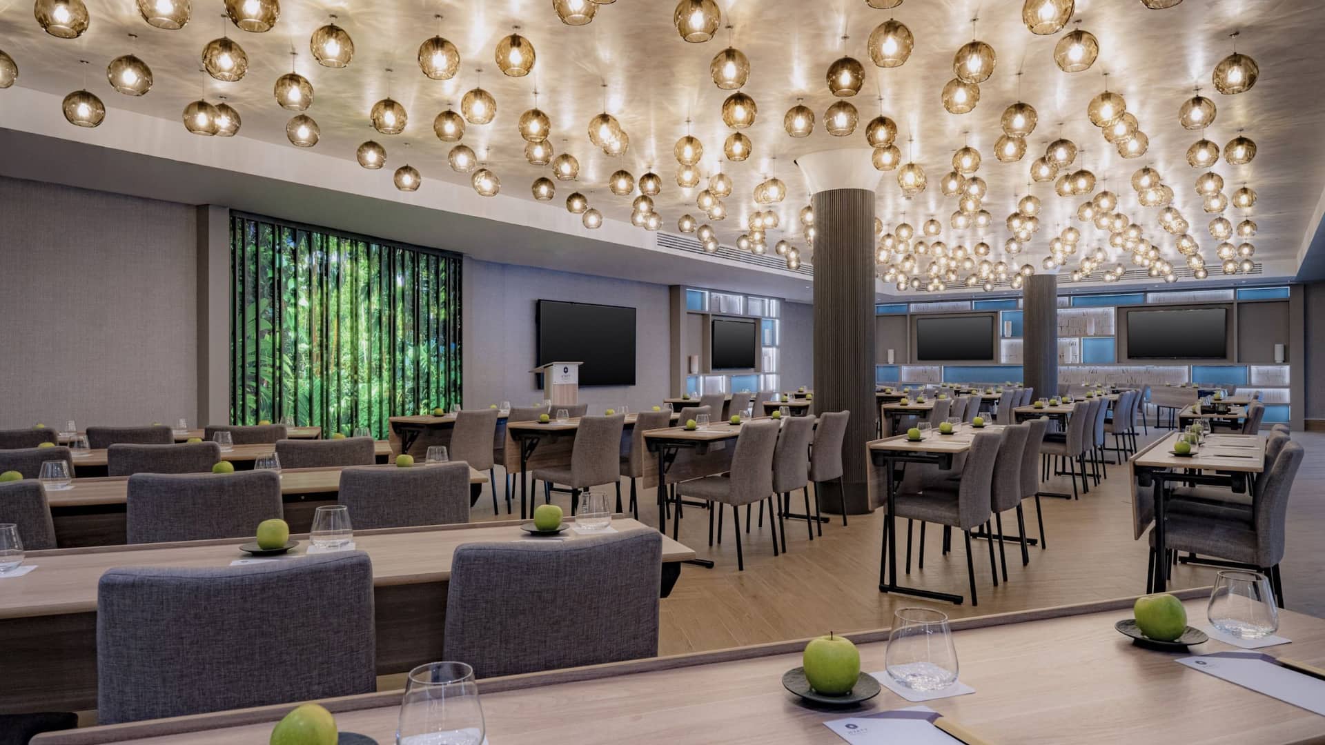 2 of 3 Hyatt Regency Malta Ballroom Classroom Back