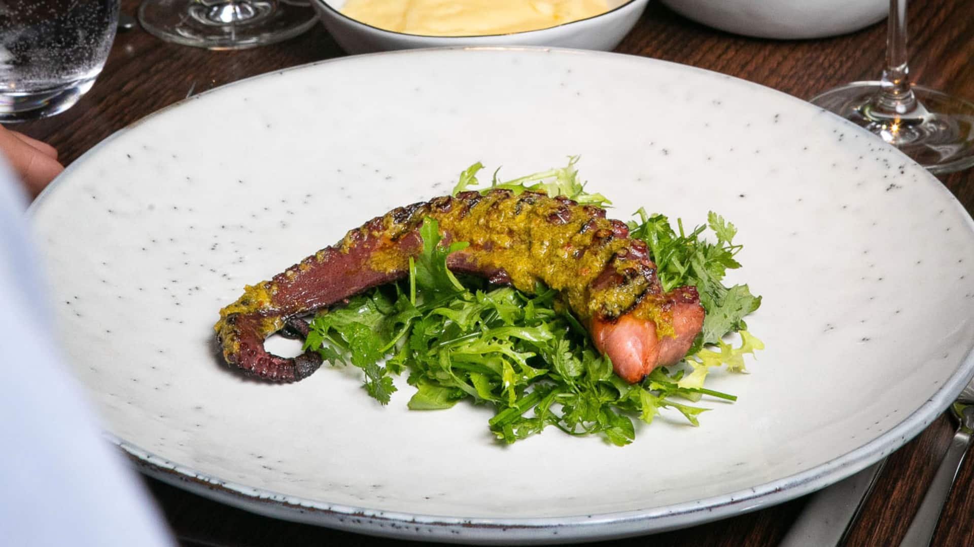 4 von 10 Grand Hyatt Berlin Vox Restaurant Dinner Grilled Octopus Wine