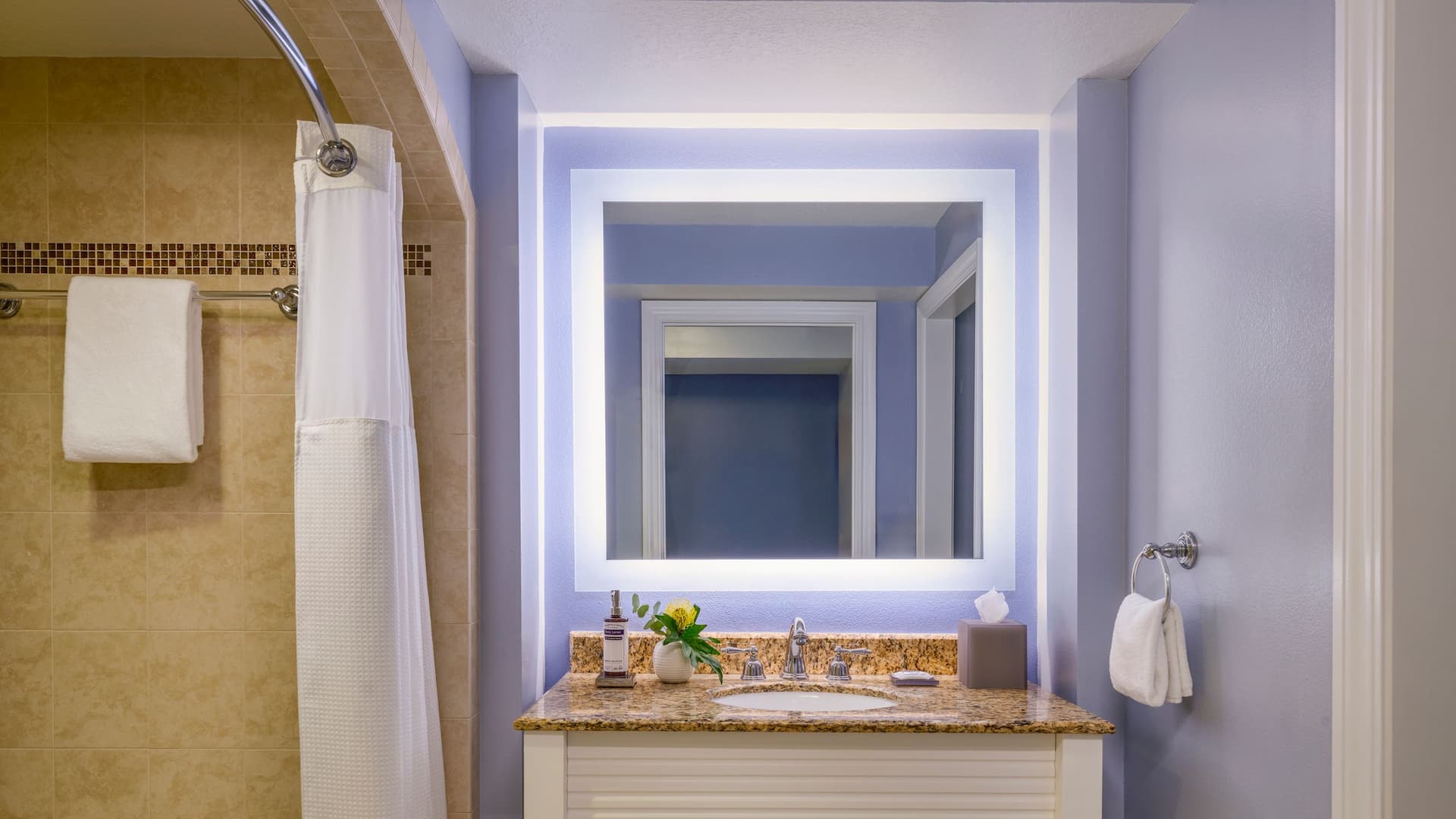 4 of 6 Hyatt Regency Clearwater Beach Resort and Spa Premium Bathroom