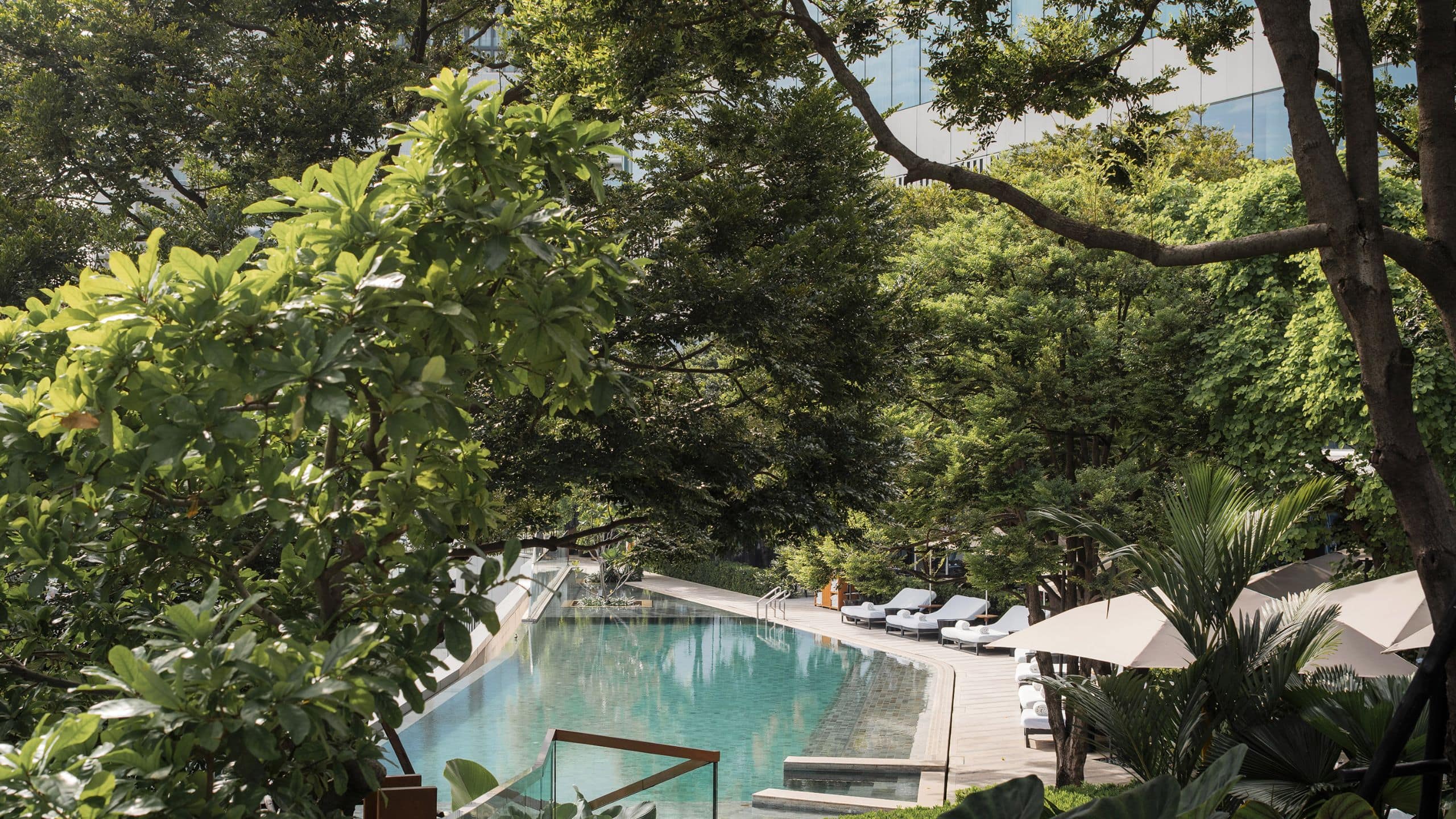 Park Hyatt Bangkok Pool Area View From Cabana