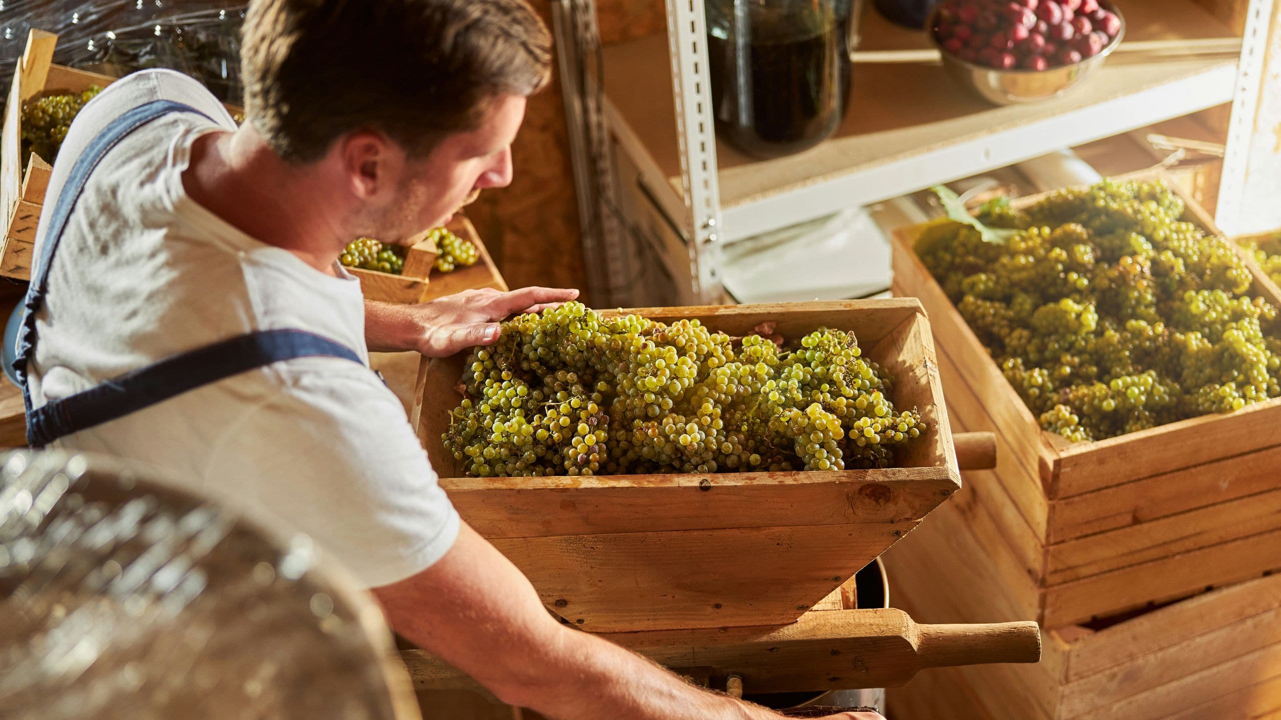 Hyatt Centric Malta Ta Betta Winery