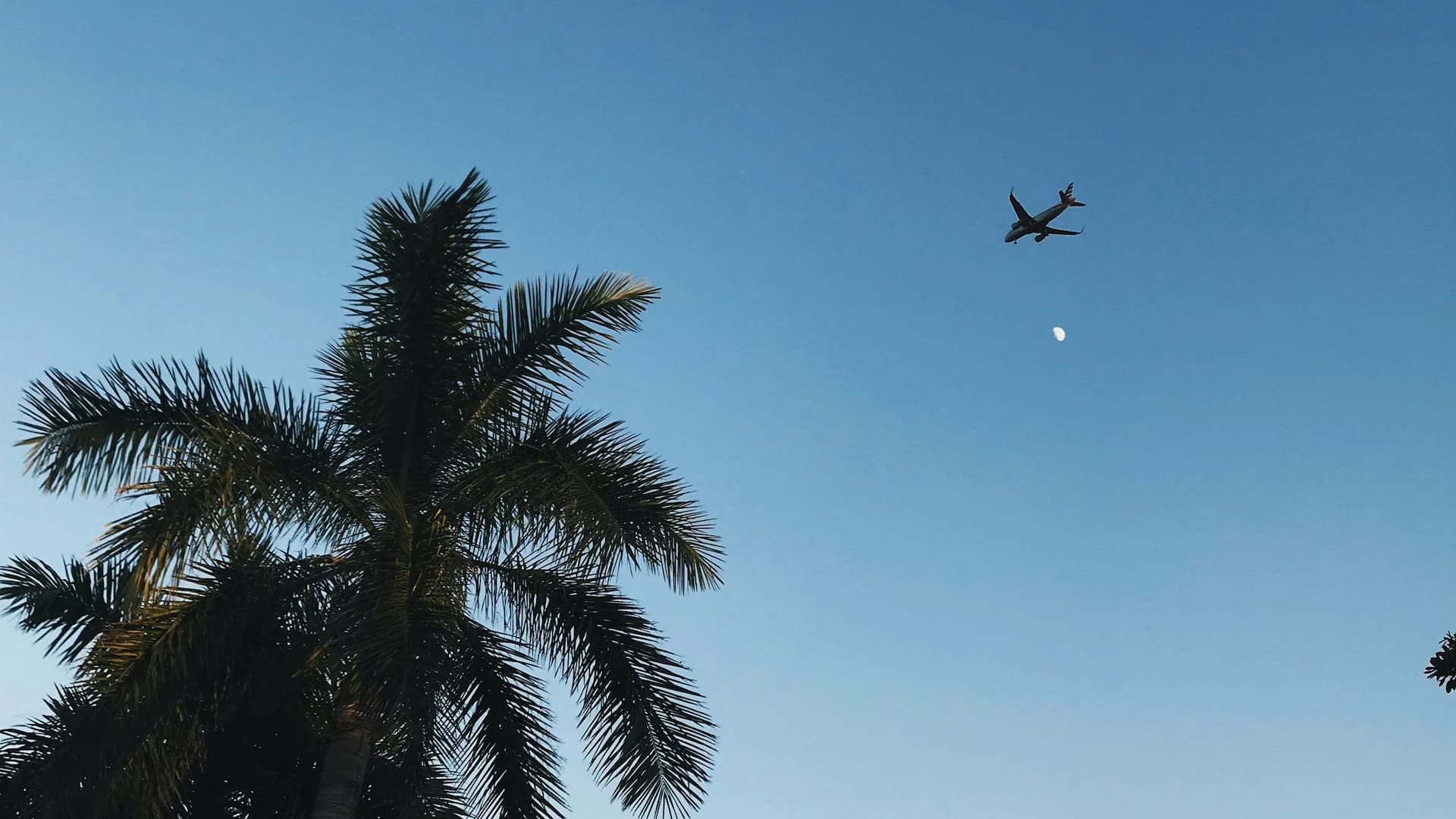 Hyatt Regency Los Angeles International Airport Lax Airplane In Sky