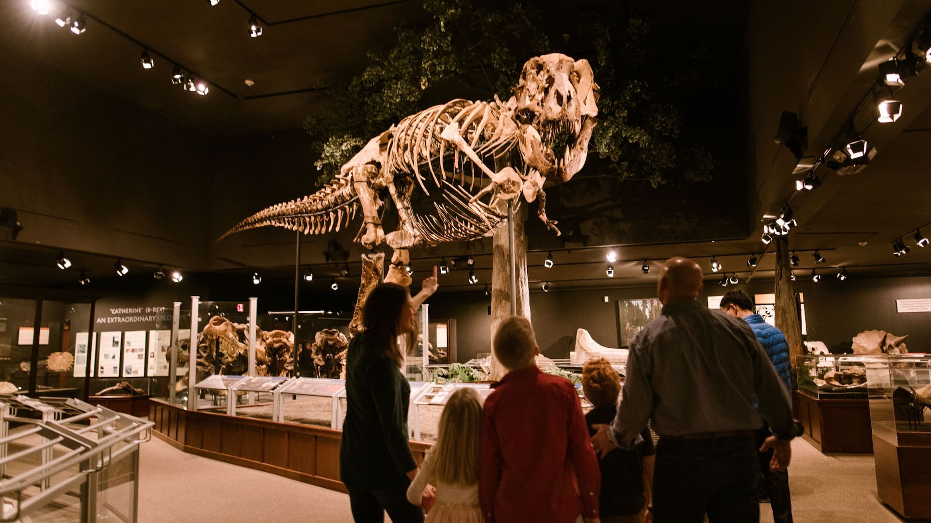 Hyatt Place Bozeman Yellowstone Airport Museum Of The Rockies Dinosaur Skeleton