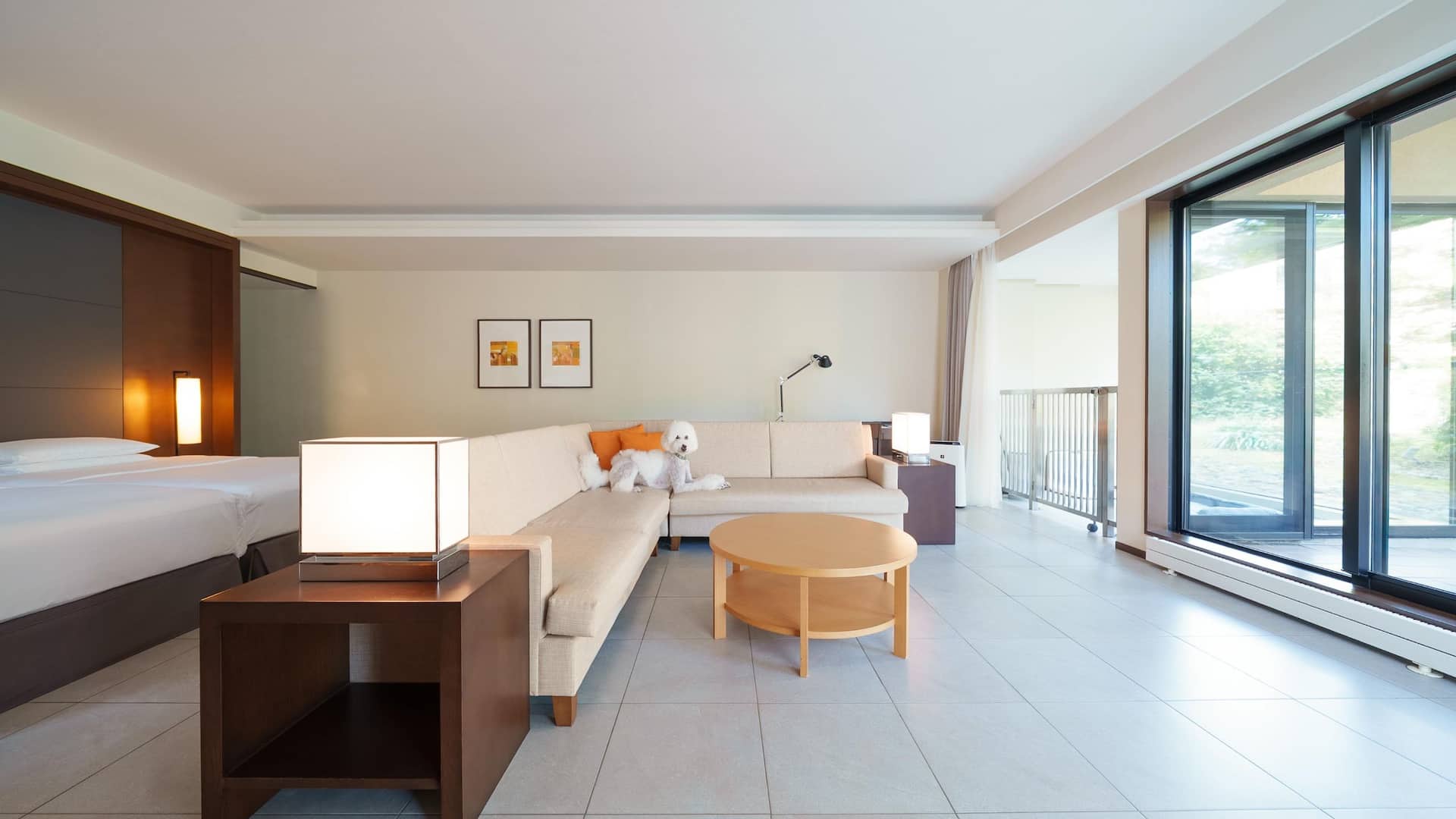 1/6 Hyatt Regency Hakone Resort and Spa Twin Beds Dog Friendly Premium Sofa Dog